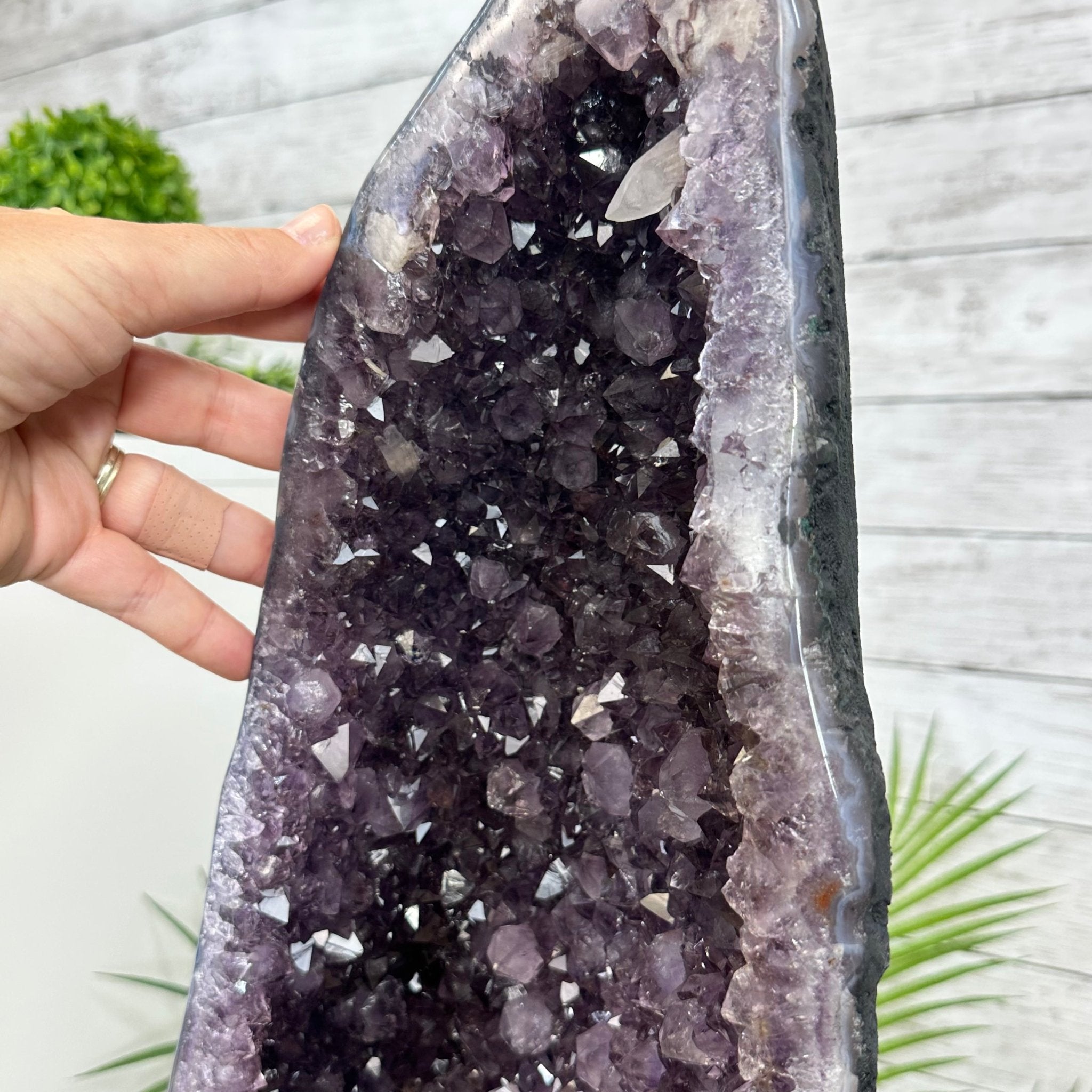 Extra Plus Quality Brazilian Amethyst Cathedral, 110.3 lbs & 35" Tall, Model #5601-1211 by Brazil Gems - Brazil GemsBrazil GemsExtra Plus Quality Brazilian Amethyst Cathedral, 110.3 lbs & 35" Tall, Model #5601-1211 by Brazil GemsCathedrals5601-1211