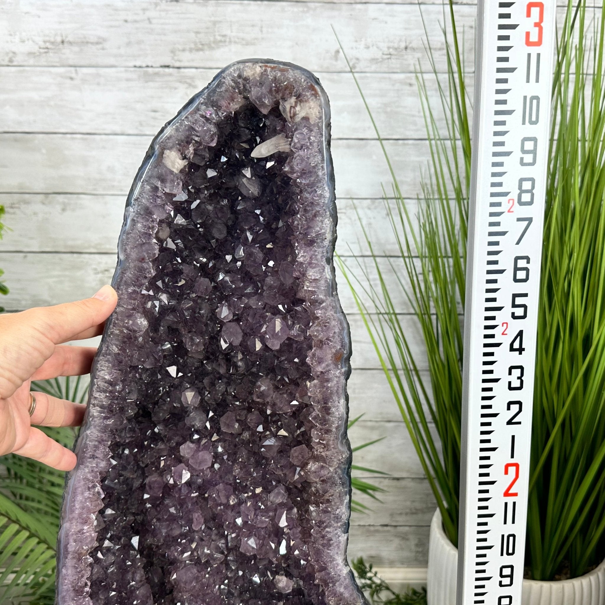 Extra Plus Quality Brazilian Amethyst Cathedral, 110.3 lbs & 35" Tall, Model #5601-1211 by Brazil Gems - Brazil GemsBrazil GemsExtra Plus Quality Brazilian Amethyst Cathedral, 110.3 lbs & 35" Tall, Model #5601-1211 by Brazil GemsCathedrals5601-1211