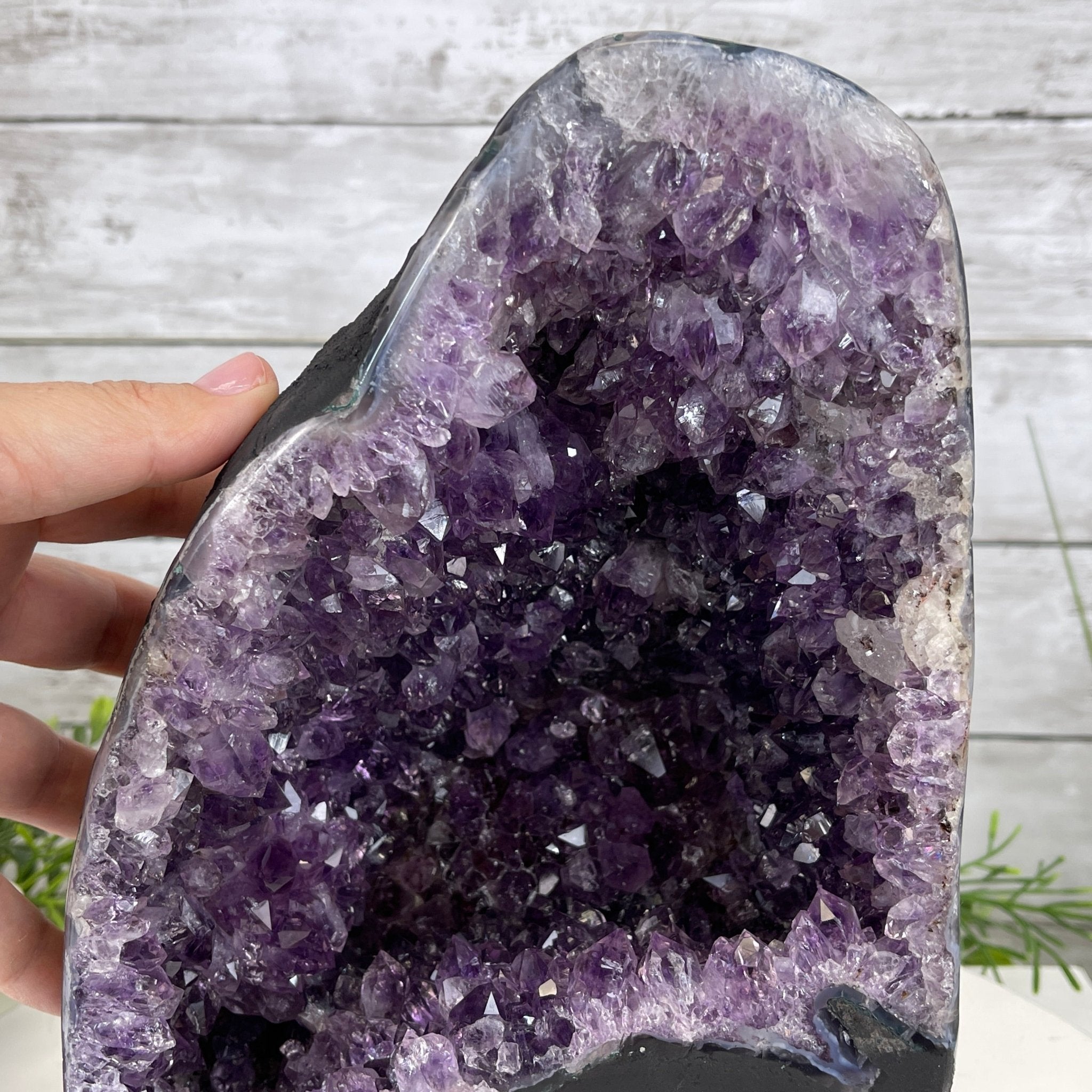 Extra Plus Quality Brazilian Amethyst Cathedral, 13.3 lbs & 10.5" Tall #5601-1135 by Brazil Gems - Brazil GemsBrazil GemsExtra Plus Quality Brazilian Amethyst Cathedral, 13.3 lbs & 10.5" Tall #5601-1135 by Brazil GemsCathedrals5601-1135