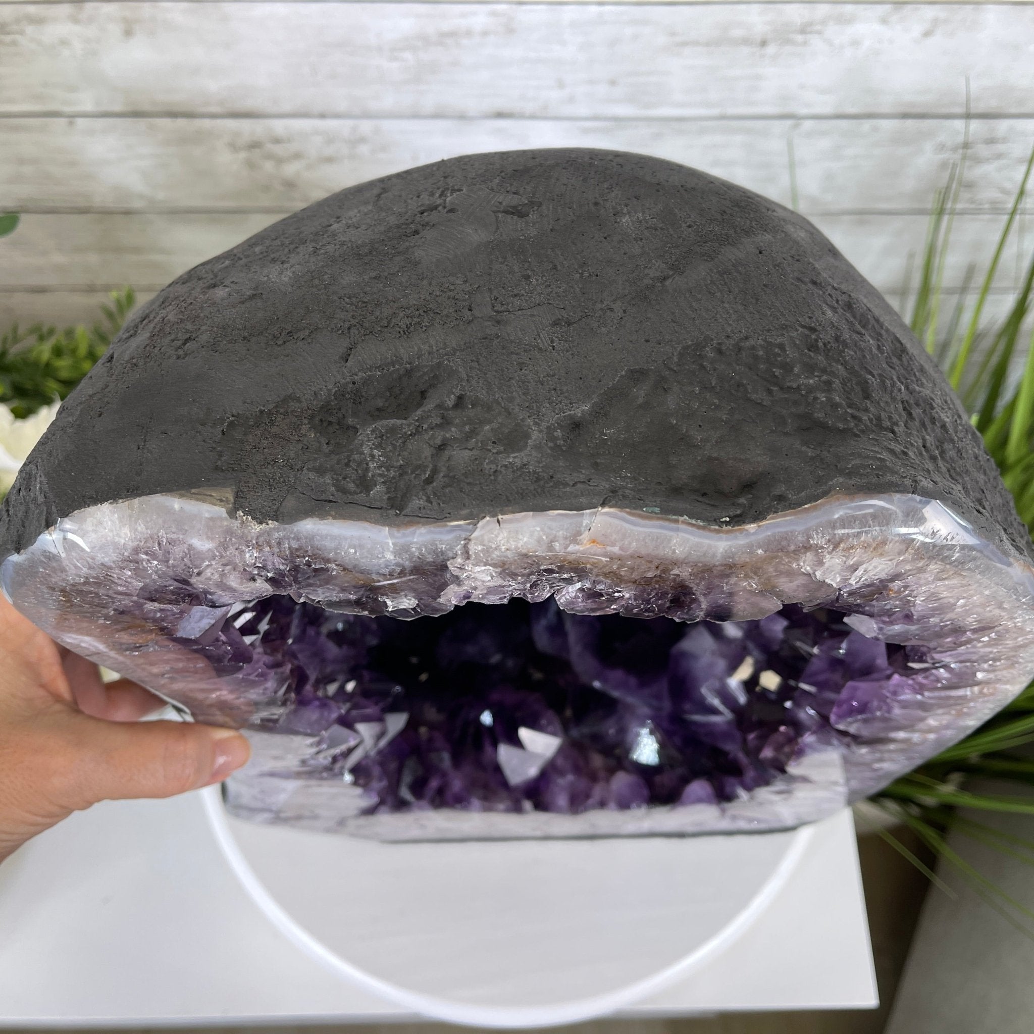 Extra Plus Quality Brazilian Amethyst Cathedral, 16” tall & 78.9 lbs #5601-0539 by Brazil Gems - Brazil GemsBrazil GemsExtra Plus Quality Brazilian Amethyst Cathedral, 16” tall & 78.9 lbs #5601-0539 by Brazil GemsCathedrals5601-0539