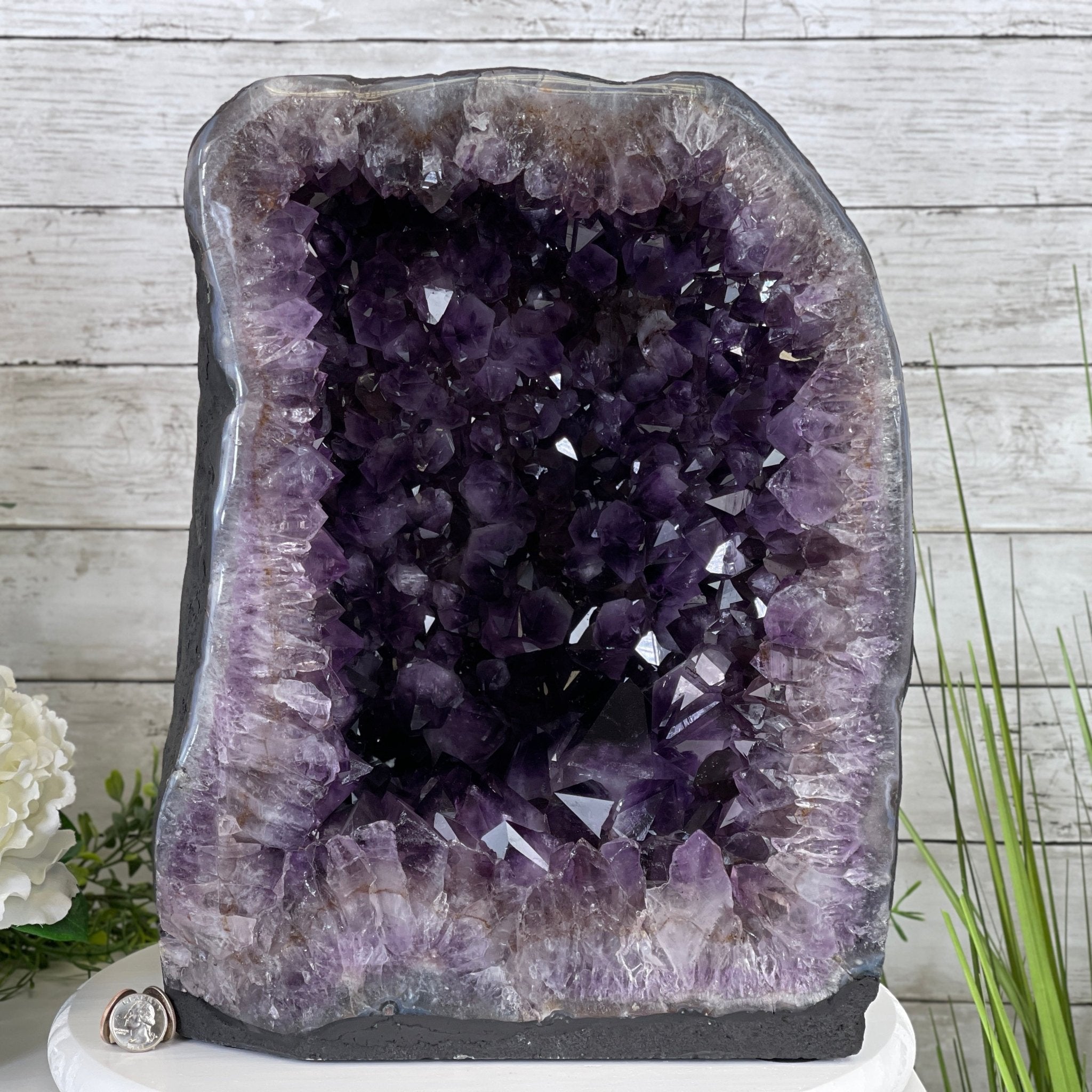 Extra Plus Quality Brazilian Amethyst Cathedral, 16” tall & 78.9 lbs #5601-0539 by Brazil Gems - Brazil GemsBrazil GemsExtra Plus Quality Brazilian Amethyst Cathedral, 16” tall & 78.9 lbs #5601-0539 by Brazil GemsCathedrals5601-0539
