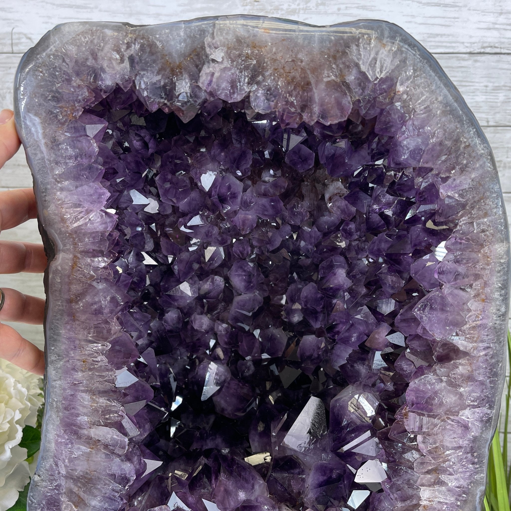 Extra Plus Quality Brazilian Amethyst Cathedral, 16” tall & 78.9 lbs #5601-0539 by Brazil Gems - Brazil GemsBrazil GemsExtra Plus Quality Brazilian Amethyst Cathedral, 16” tall & 78.9 lbs #5601-0539 by Brazil GemsCathedrals5601-0539