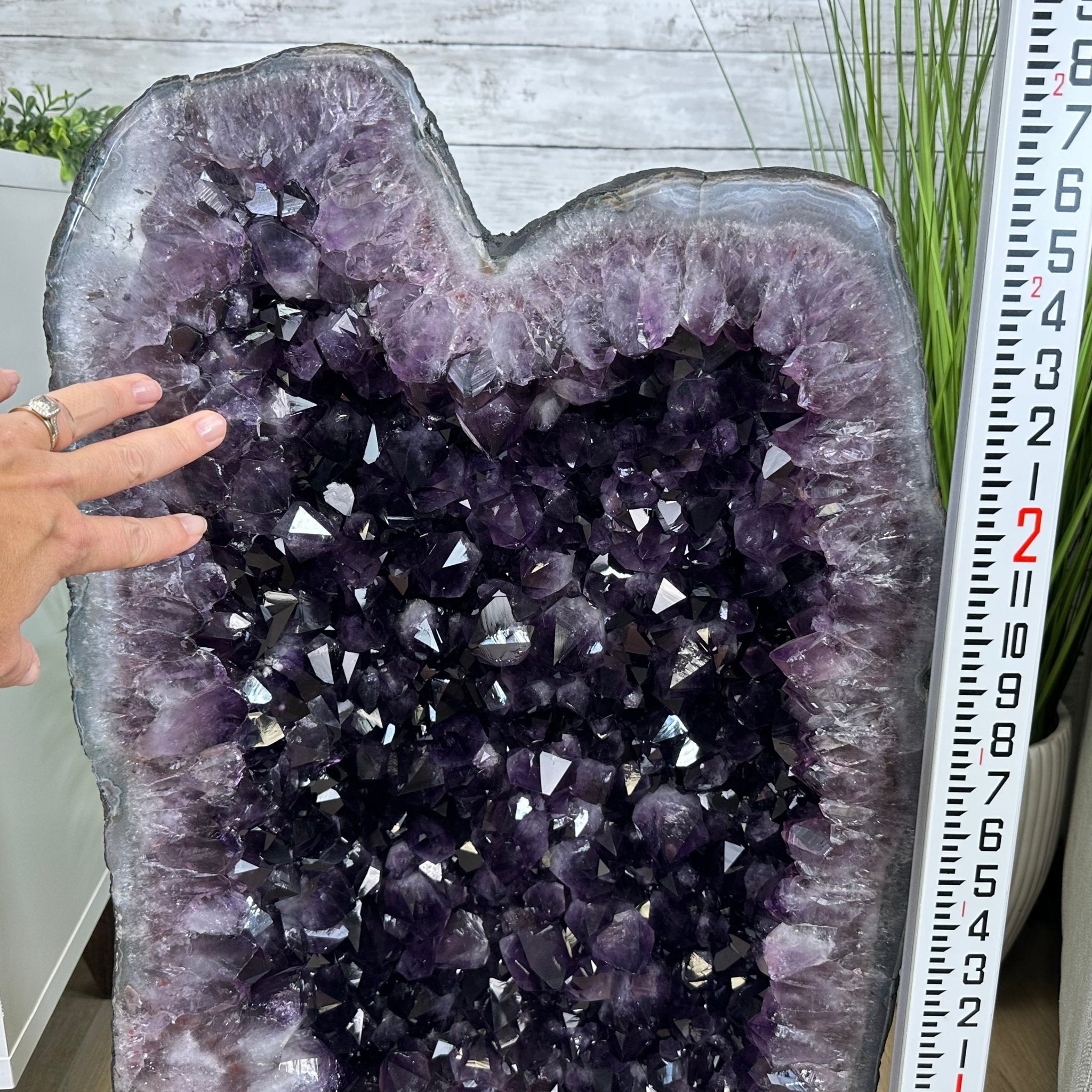 Extra Plus Quality Brazilian Amethyst Cathedral, 198.5 lbs & 32" Tall, Model #5601-1207 by Brazil Gems - Brazil GemsBrazil GemsExtra Plus Quality Brazilian Amethyst Cathedral, 198.5 lbs & 32" Tall, Model #5601-1207 by Brazil GemsCathedrals5601-1207