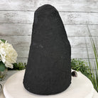 Extra Plus Quality Brazilian Amethyst Cathedral, 21.7 lbs & 13" Tall, Model #5601-0977 by Brazil Gems - Brazil GemsBrazil GemsExtra Plus Quality Brazilian Amethyst Cathedral, 21.7 lbs & 13" Tall, Model #5601-0977 by Brazil GemsCathedrals5601-0977