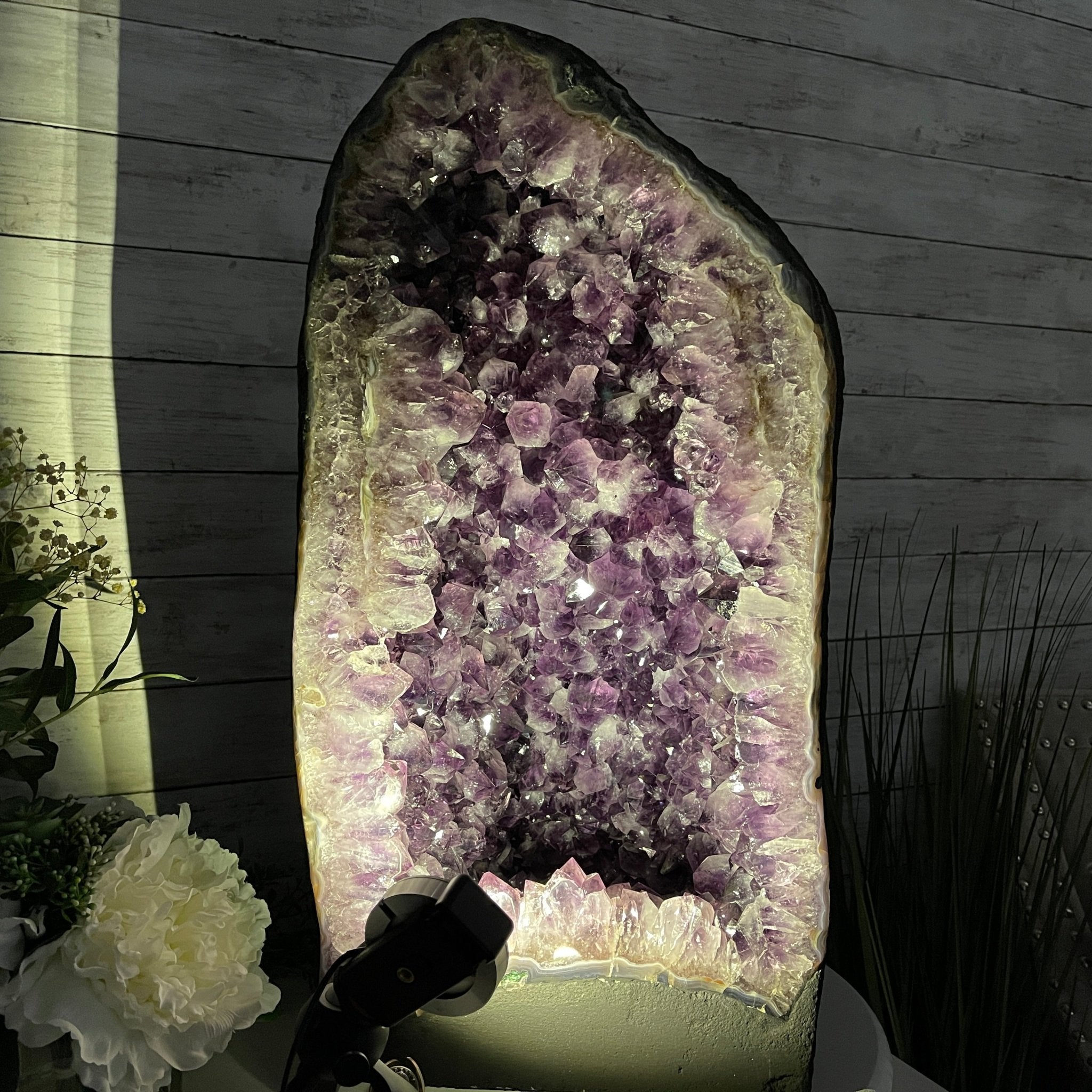 Extra Plus Quality Brazilian Amethyst Cathedral, 24” tall & 107.7 lbs #5601-0542 by Brazil Gems - Brazil GemsBrazil GemsExtra Plus Quality Brazilian Amethyst Cathedral, 24” tall & 107.7 lbs #5601-0542 by Brazil GemsCathedrals5601-0542