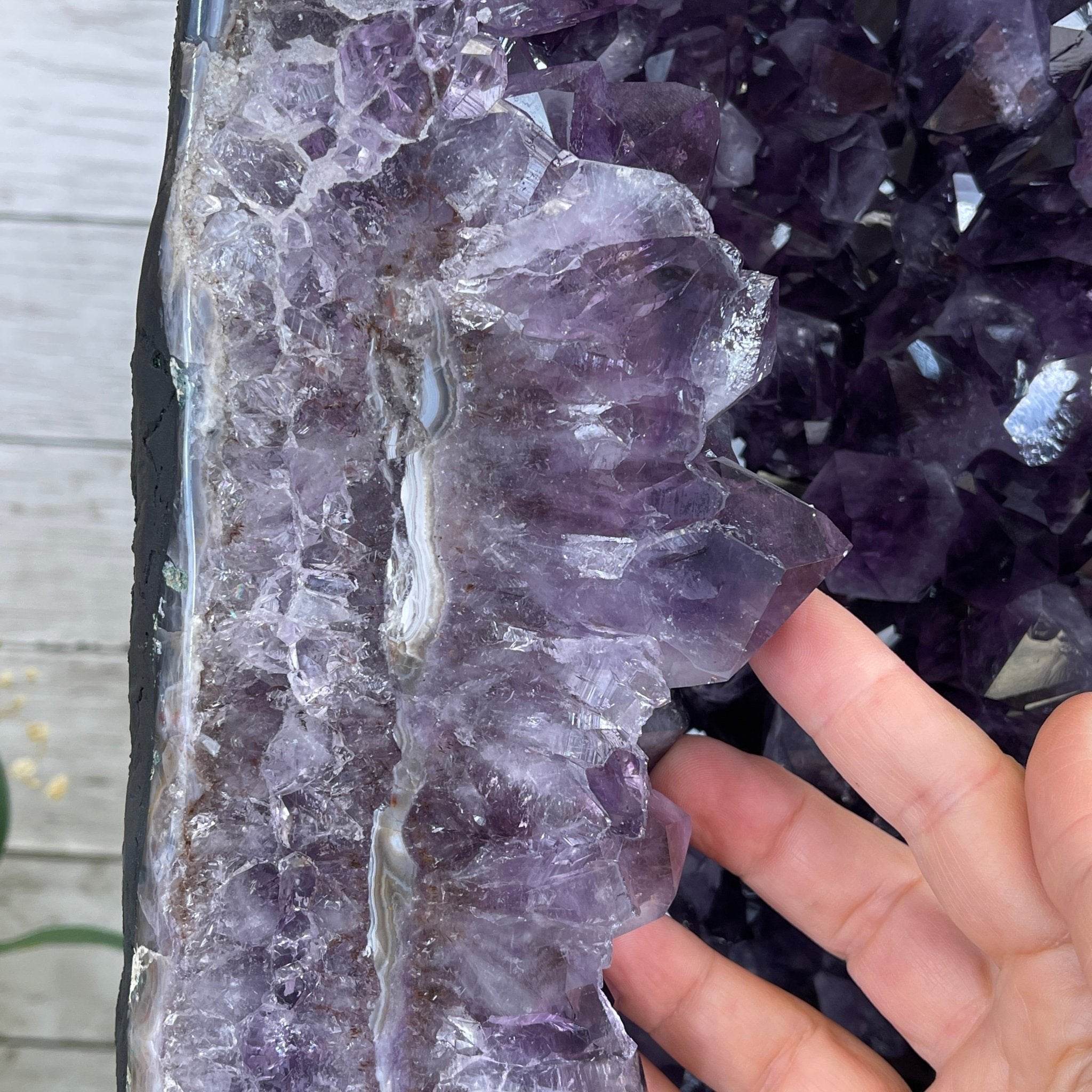 Extra Plus Quality Brazilian Amethyst Cathedral, 24” tall & 107.7 lbs #5601-0542 by Brazil Gems - Brazil GemsBrazil GemsExtra Plus Quality Brazilian Amethyst Cathedral, 24” tall & 107.7 lbs #5601-0542 by Brazil GemsCathedrals5601-0542