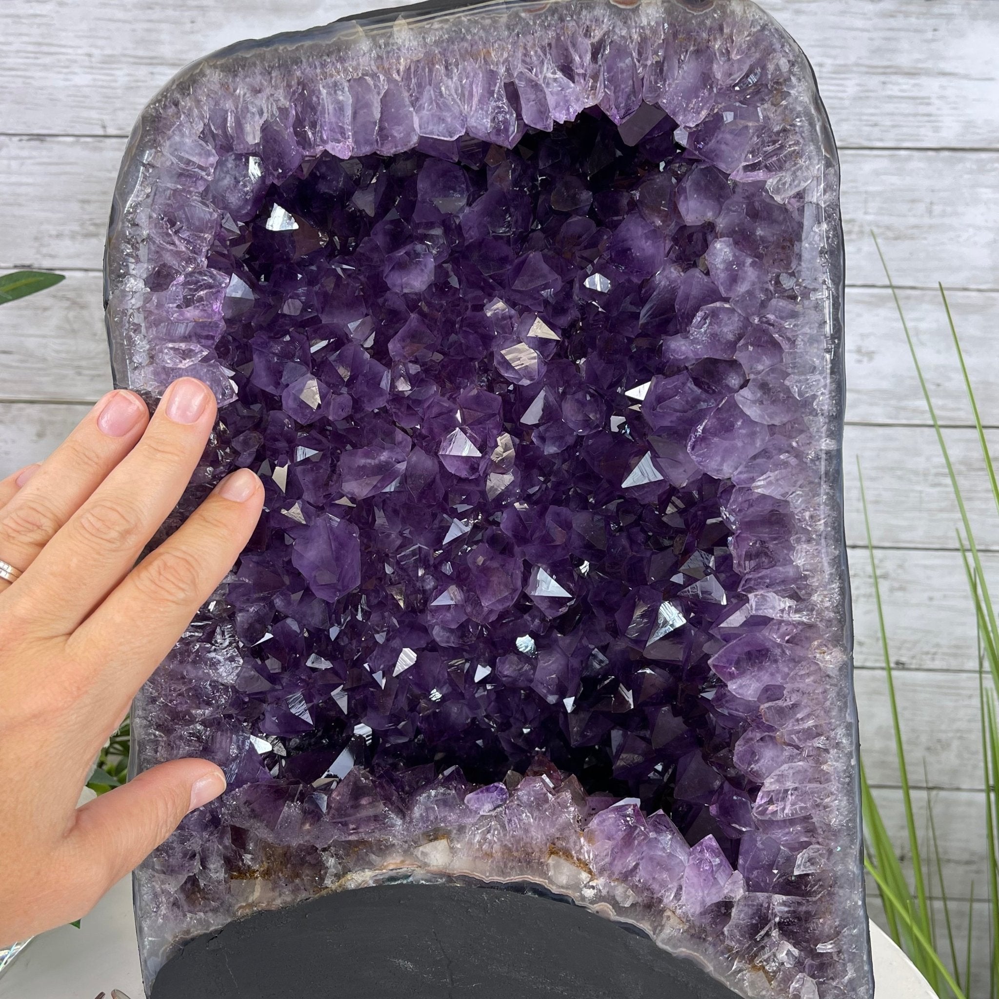 Extra Plus Quality Brazilian Amethyst Cathedral, 36.1 lbs & 14.25" Tall #5601-1043 by Brazil Gems - Brazil GemsBrazil GemsExtra Plus Quality Brazilian Amethyst Cathedral, 36.1 lbs & 14.25" Tall #5601-1043 by Brazil GemsCathedrals5601-1043