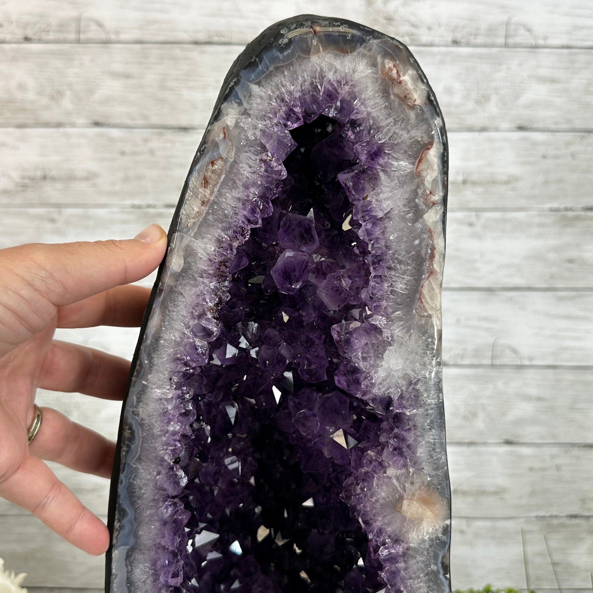Extra Plus Quality Brazilian Amethyst Cathedral, 40.1 lbs & 20.6" Tall Model #5601-0848 by Brazil Gems - Brazil GemsBrazil GemsExtra Plus Quality Brazilian Amethyst Cathedral, 40.1 lbs & 20.6" Tall Model #5601-0848 by Brazil GemsCathedrals5601-0848