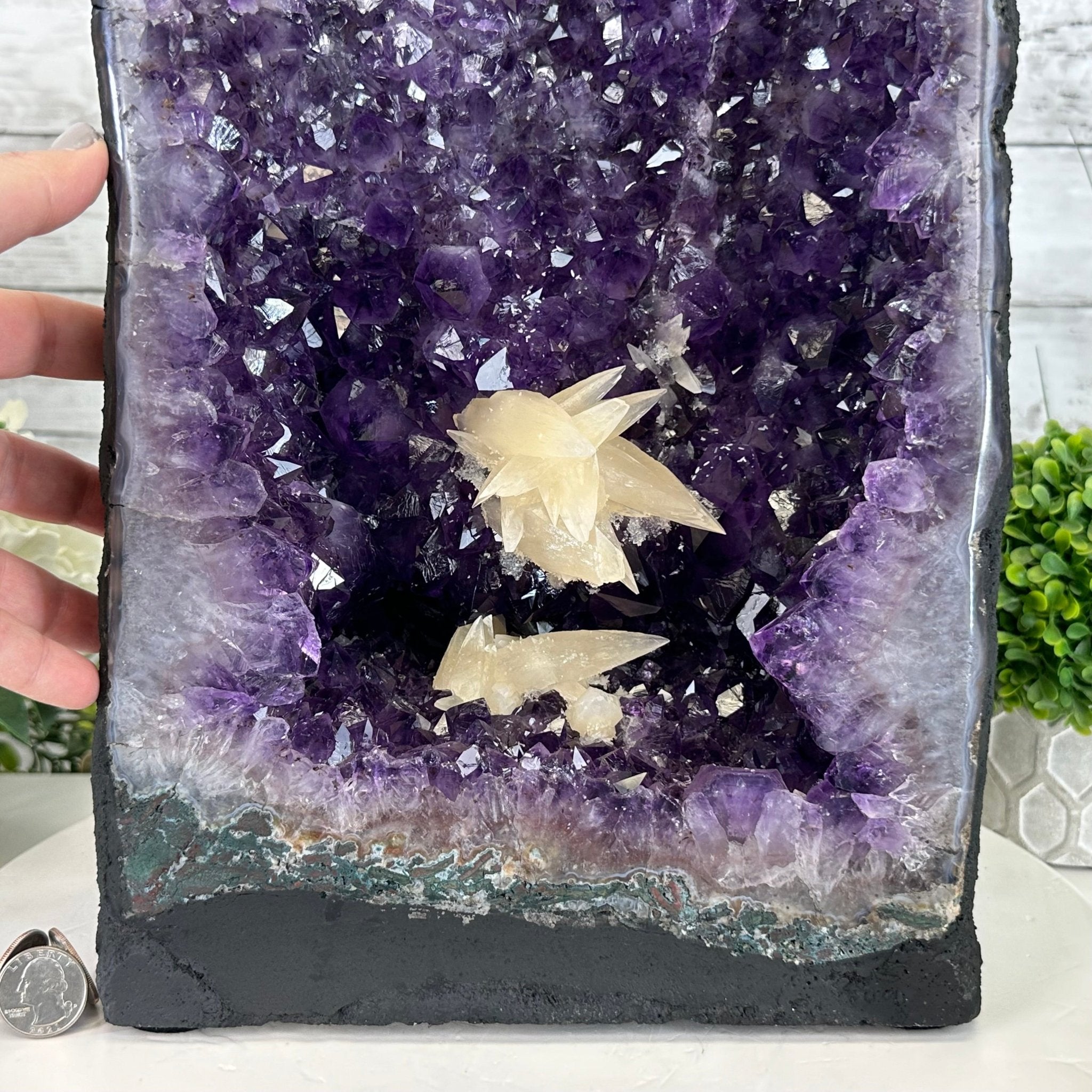 Extra Plus Quality Brazilian Amethyst Cathedral, 47.5 lbs & 17.3" Tall #5601-1317 - Brazil GemsBrazil GemsExtra Plus Quality Brazilian Amethyst Cathedral, 47.5 lbs & 17.3" Tall #5601-1317Cathedrals5601-1317