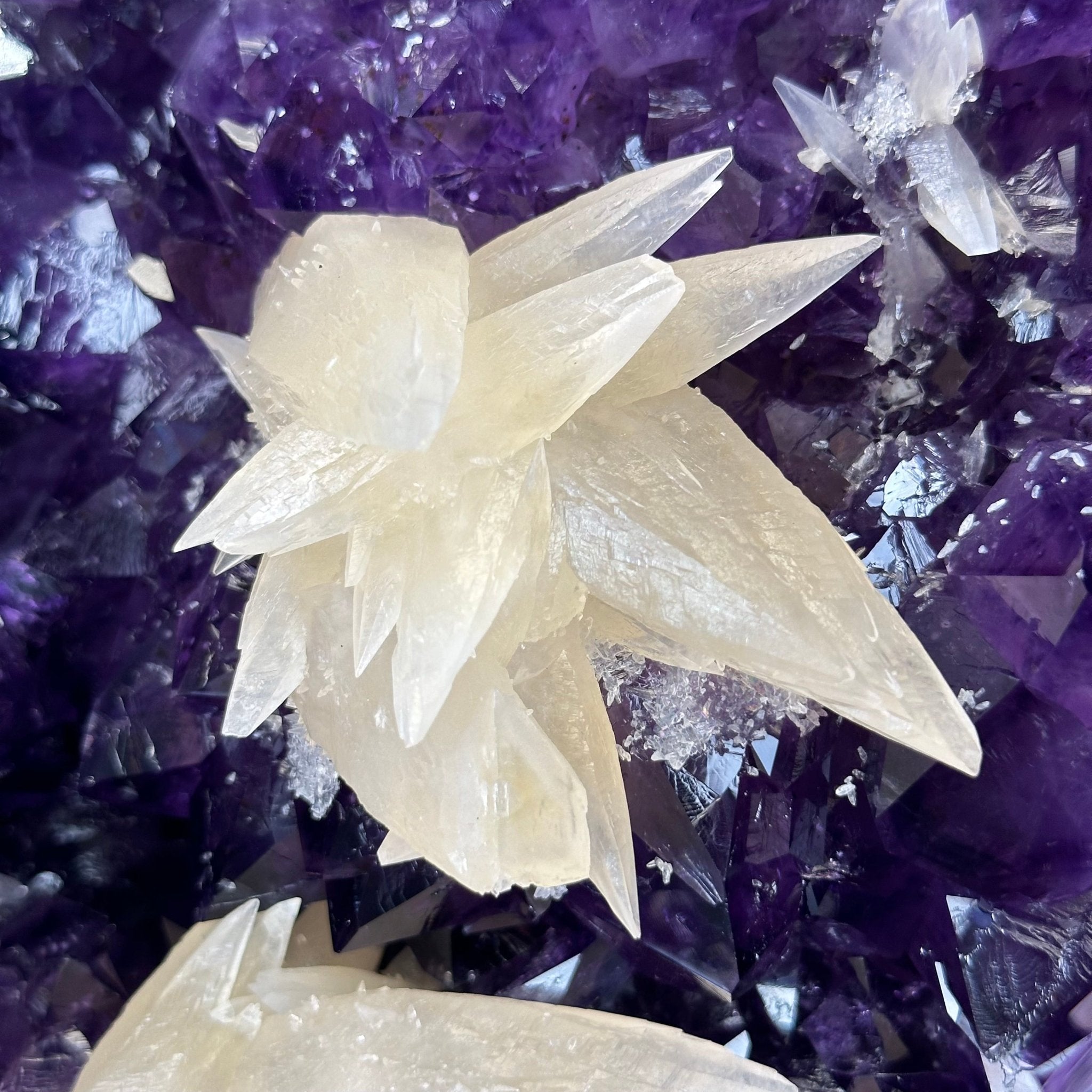 Extra Plus Quality Brazilian Amethyst Cathedral, 47.5 lbs & 17.3" Tall #5601-1317 - Brazil GemsBrazil GemsExtra Plus Quality Brazilian Amethyst Cathedral, 47.5 lbs & 17.3" Tall #5601-1317Cathedrals5601-1317