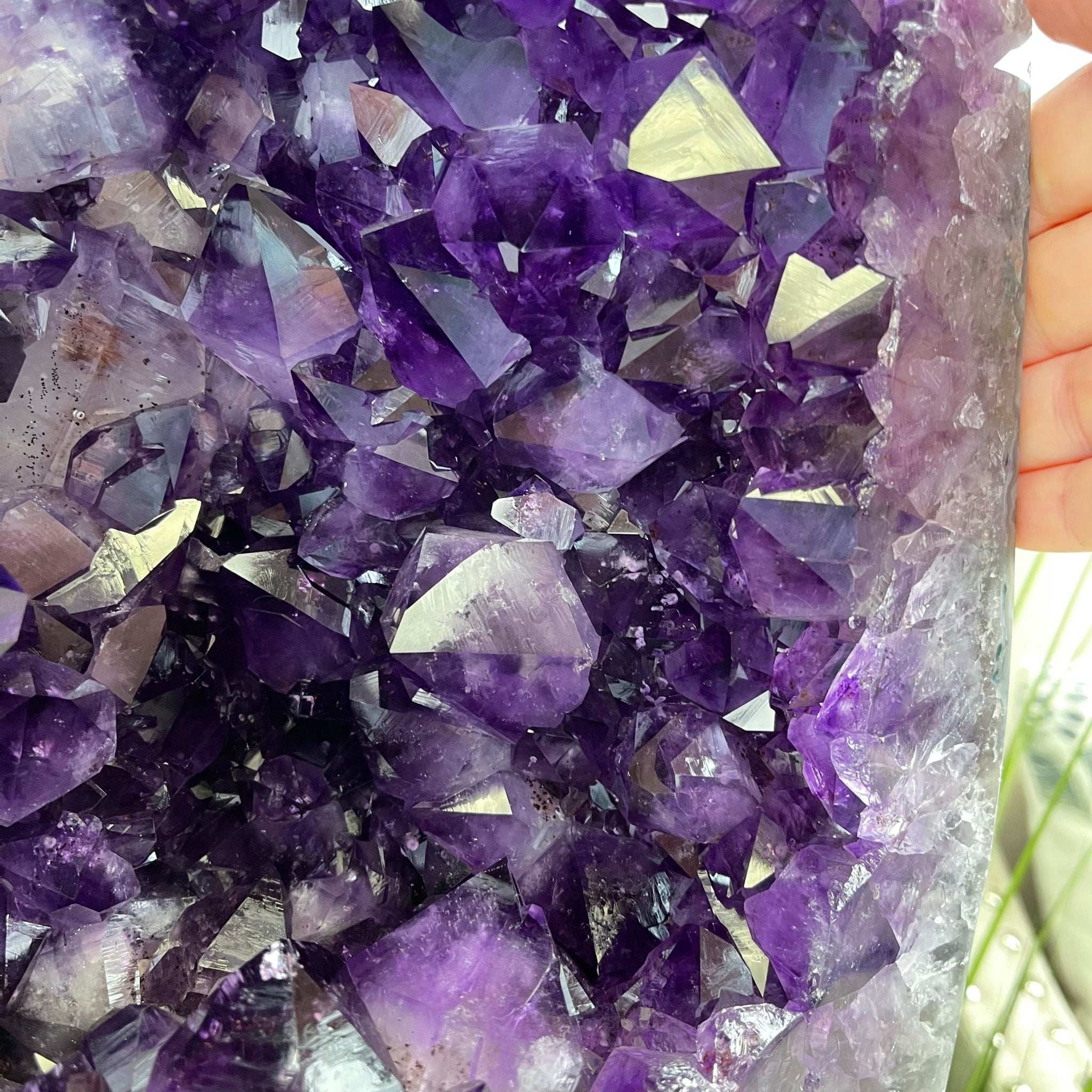 Extra Plus Quality Brazilian Amethyst Cathedral, 53.3 lbs & 16” tall #5601-1165 by Brazil Gems - Brazil GemsBrazil GemsExtra Plus Quality Brazilian Amethyst Cathedral, 53.3 lbs & 16” tall #5601-1165 by Brazil GemsCathedrals5601-1165