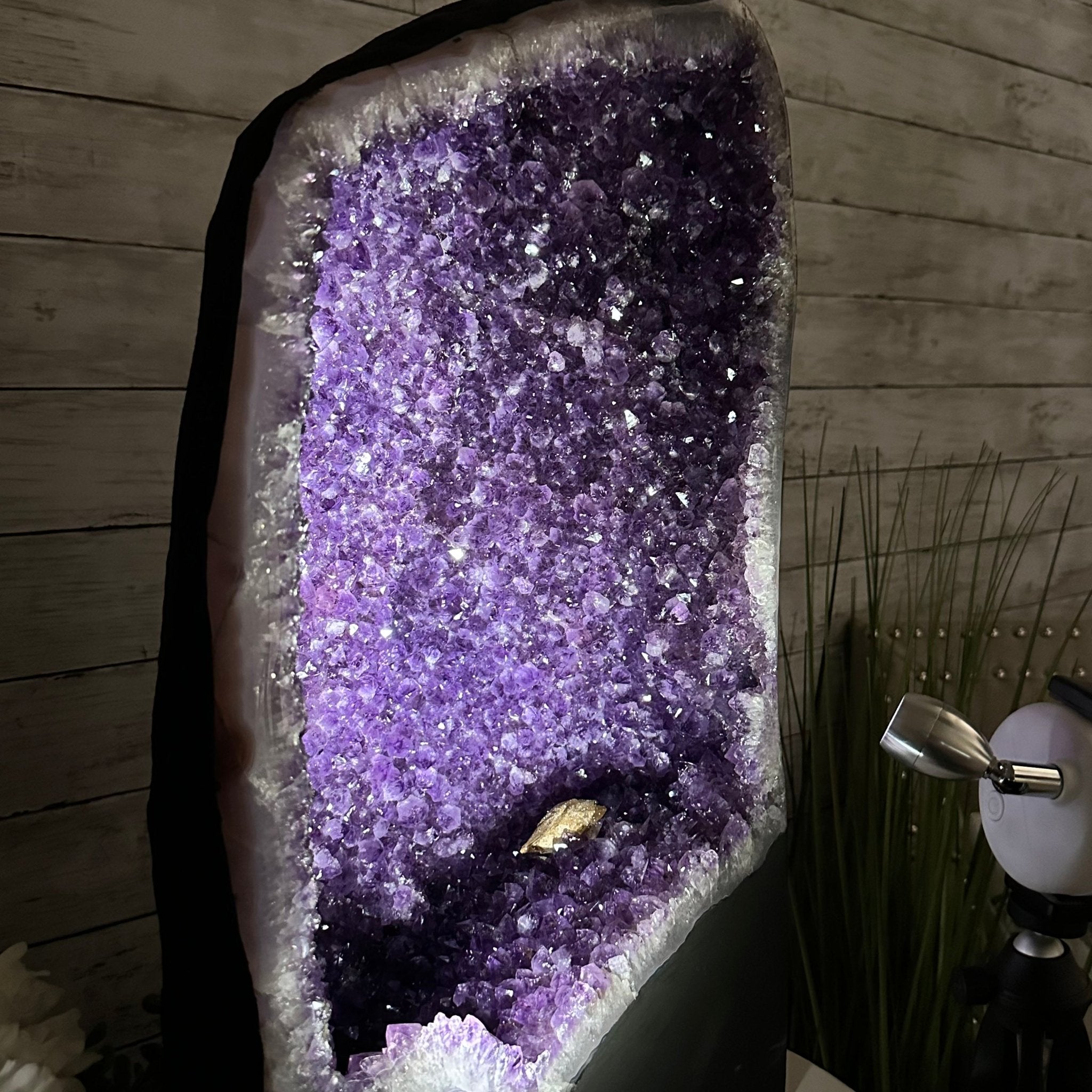 Extra Plus Quality Brazilian Amethyst Cathedral, 62.5 lbs & 21" Tall, Model #5601-0991 by Brazil Gems - Brazil GemsBrazil GemsExtra Plus Quality Brazilian Amethyst Cathedral, 62.5 lbs & 21" Tall, Model #5601-0991 by Brazil GemsCathedrals5601-0991