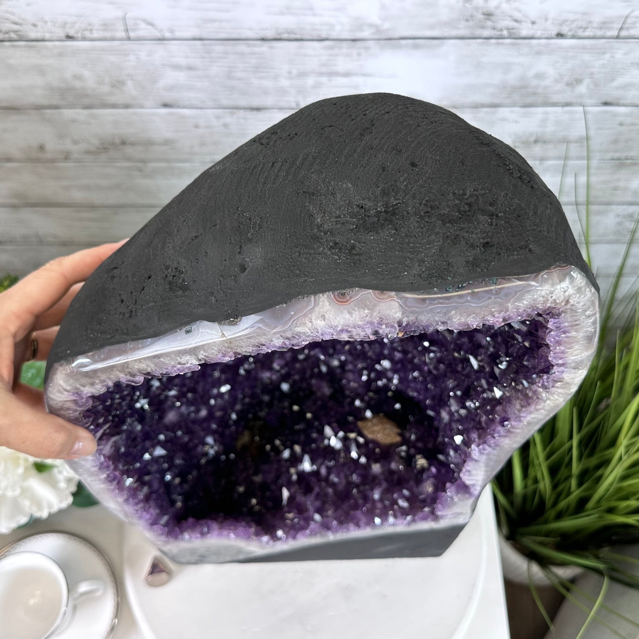 Extra Plus Quality Brazilian Amethyst Cathedral, 62.5 lbs & 21" Tall, Model #5601-0991 by Brazil Gems - Brazil GemsBrazil GemsExtra Plus Quality Brazilian Amethyst Cathedral, 62.5 lbs & 21" Tall, Model #5601-0991 by Brazil GemsCathedrals5601-0991