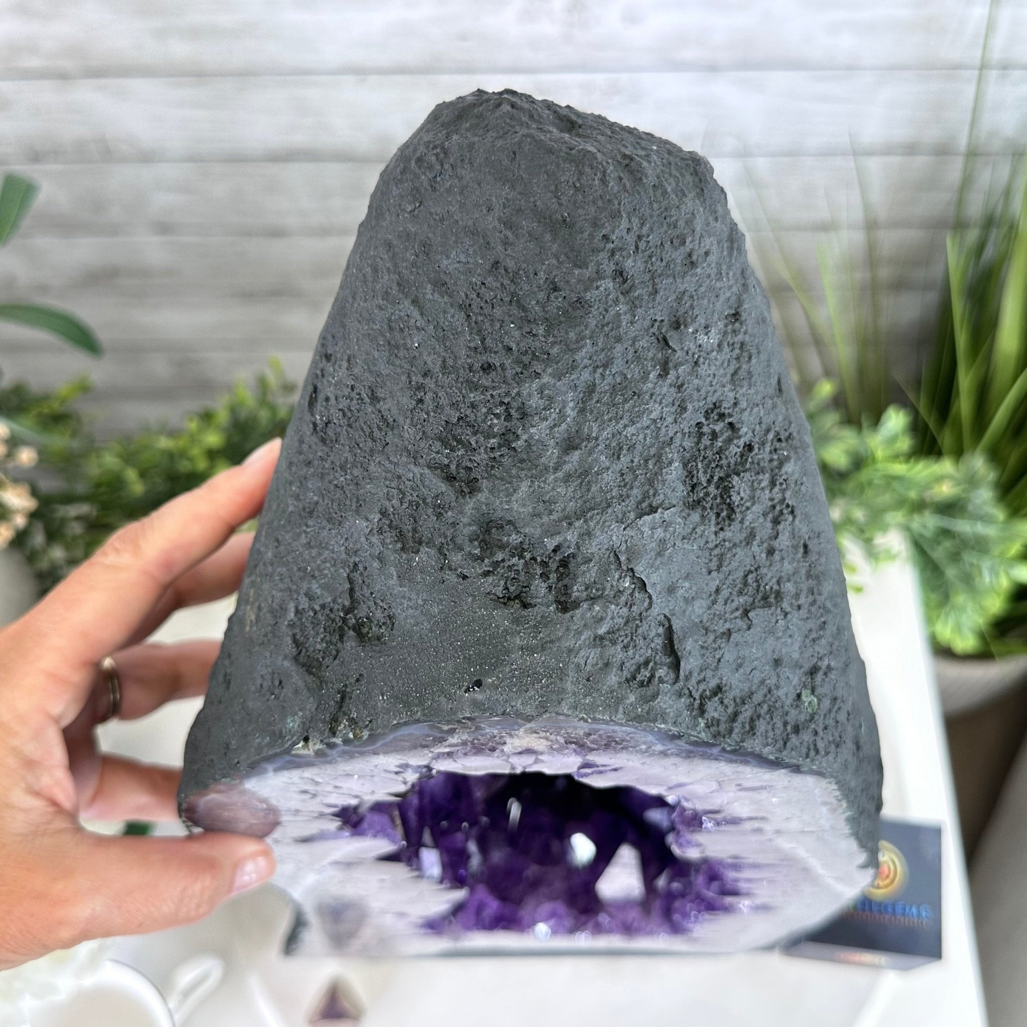 Extra Plus Quality Brazilian Amethyst Cathedral, 74.2 lbs & 19.1" Tall, Model #5601-0884 by Brazil Gems - Brazil GemsBrazil GemsExtra Plus Quality Brazilian Amethyst Cathedral, 74.2 lbs & 19.1" Tall, Model #5601-0884 by Brazil GemsCathedrals5601-0884