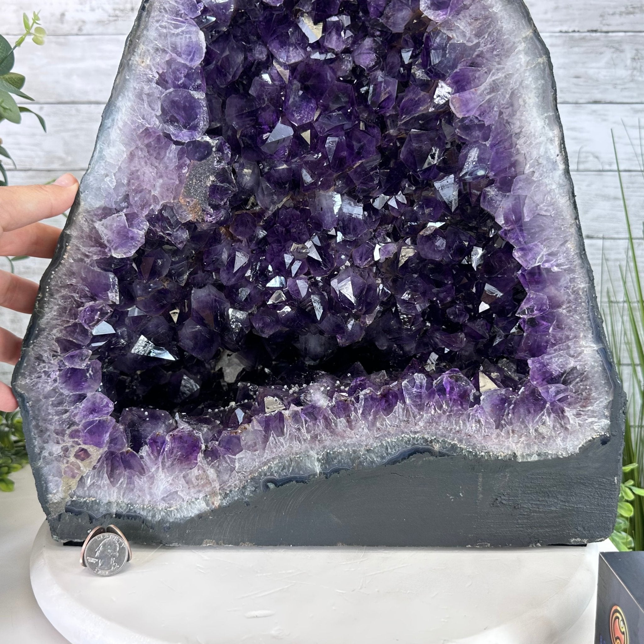 Extra Plus Quality Brazilian Amethyst Cathedral, 74.4 lbs & 21" Tall, Model #5601-0885 by Brazil Gems - Brazil GemsBrazil GemsExtra Plus Quality Brazilian Amethyst Cathedral, 74.4 lbs & 21" Tall, Model #5601-0885 by Brazil GemsCathedrals5601-0885
