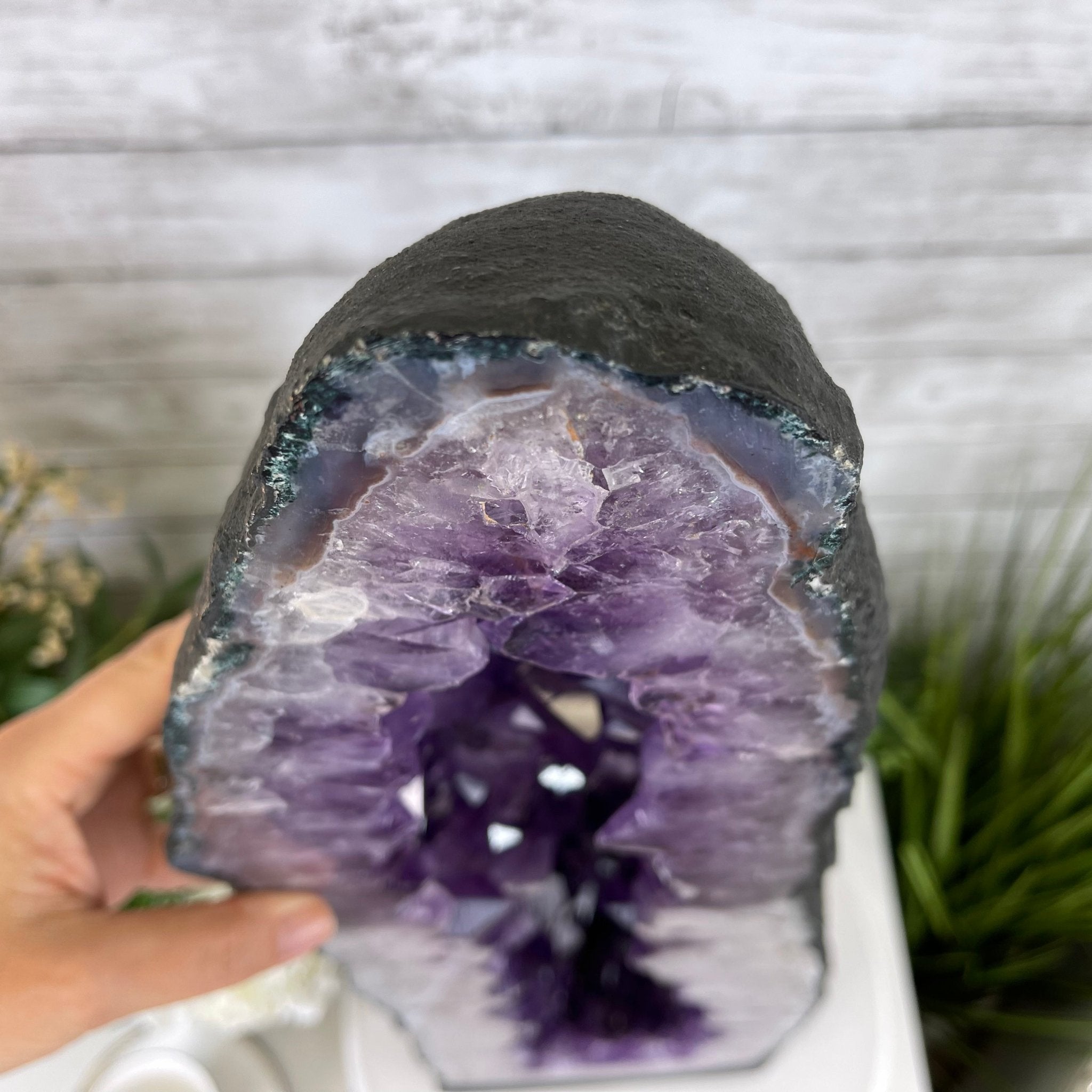 Extra Plus Quality Brazilian Amethyst Cathedral, 81.9 lbs & 30" Tall #5601-0709 by Brazil Gems - Brazil GemsBrazil GemsExtra Plus Quality Brazilian Amethyst Cathedral, 81.9 lbs & 30" Tall #5601-0709 by Brazil GemsCathedrals5601-0709
