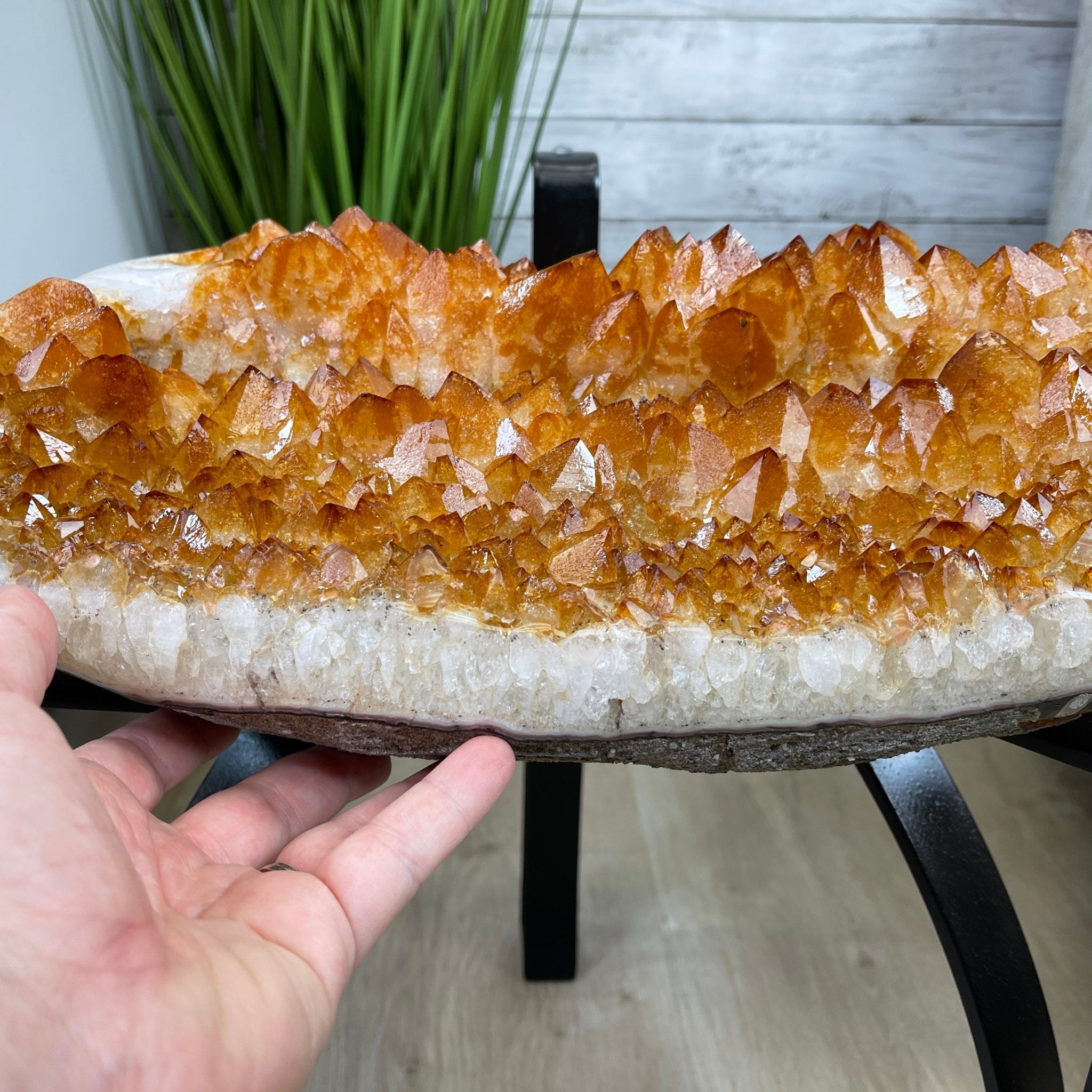 Extra Plus Quality Brazilian Citrine Geode Coffee Table, 53.3 lbs, 17.8" tall on metal base #1386-0017 by Brazil Gems - Brazil GemsBrazil GemsExtra Plus Quality Brazilian Citrine Geode Coffee Table, 53.3 lbs, 17.8" tall on metal base #1386-0017 by Brazil GemsTables: Coffee1386-0017