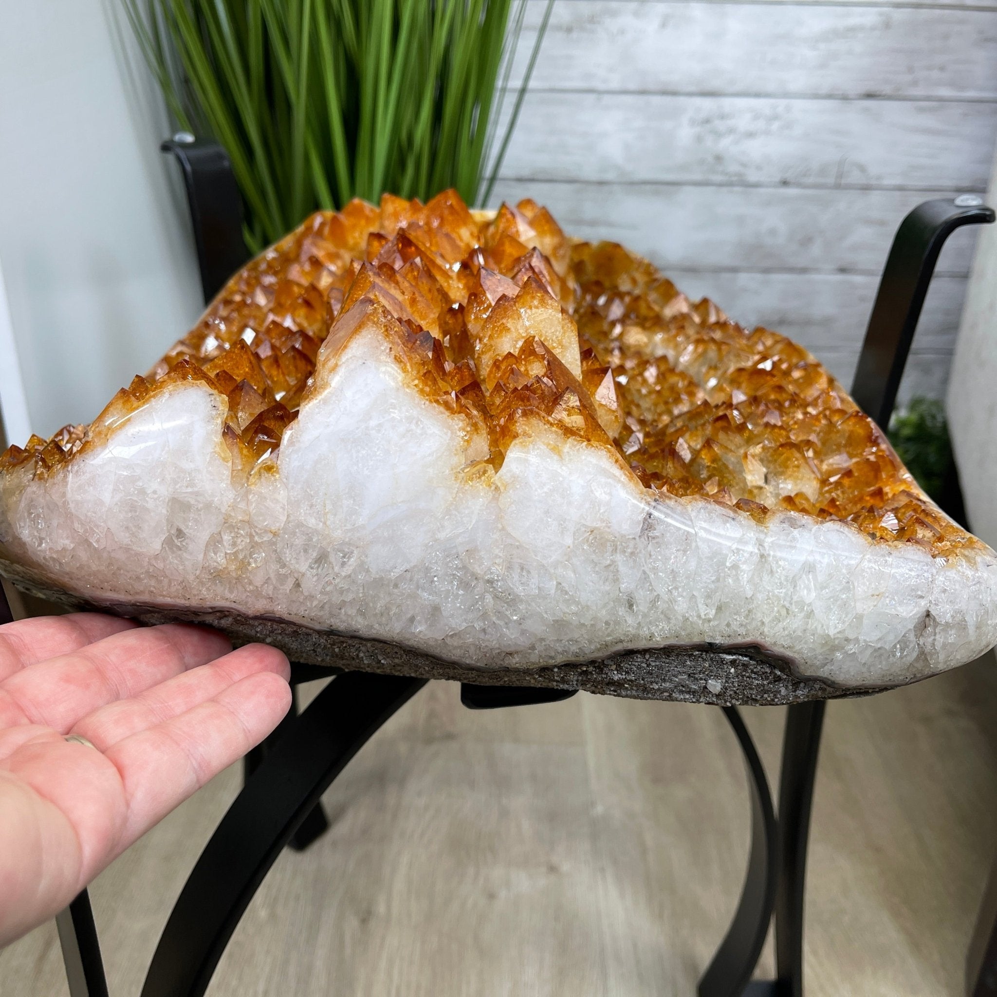 Extra Plus Quality Brazilian Citrine Geode Coffee Table, 53.3 lbs, 17.8" tall on metal base #1386-0017 by Brazil Gems - Brazil GemsBrazil GemsExtra Plus Quality Brazilian Citrine Geode Coffee Table, 53.3 lbs, 17.8" tall on metal base #1386-0017 by Brazil GemsTables: Coffee1386-0017