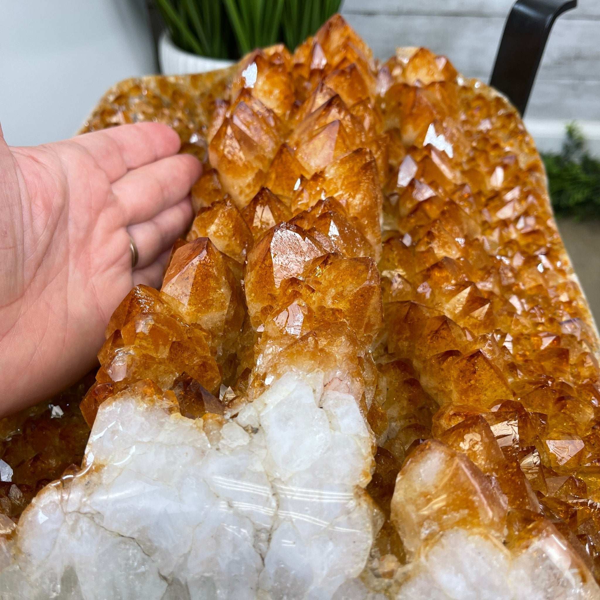 Extra Plus Quality Brazilian Citrine Geode Coffee Table, 53.3 lbs, 17.8" tall on metal base #1386-0017 by Brazil Gems - Brazil GemsBrazil GemsExtra Plus Quality Brazilian Citrine Geode Coffee Table, 53.3 lbs, 17.8" tall on metal base #1386-0017 by Brazil GemsTables: Coffee1386-0017