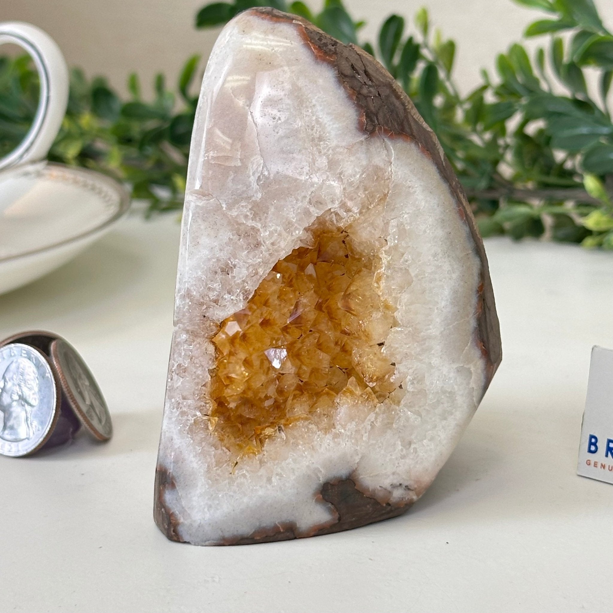 Extra Plus Quality Citrine Cluster w/ flat base, 3.8" Tall 5612 - 0198 - Brazil GemsBrazil GemsExtra Plus Quality Citrine Cluster w/ flat base, 3.8" Tall 5612 - 0198Small Clusters with Flat Bases5612 - 0198