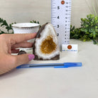 Extra Plus Quality Citrine Cluster w/ flat base, 3.8" Tall 5612 - 0198 - Brazil GemsBrazil GemsExtra Plus Quality Citrine Cluster w/ flat base, 3.8" Tall 5612 - 0198Small Clusters with Flat Bases5612 - 0198