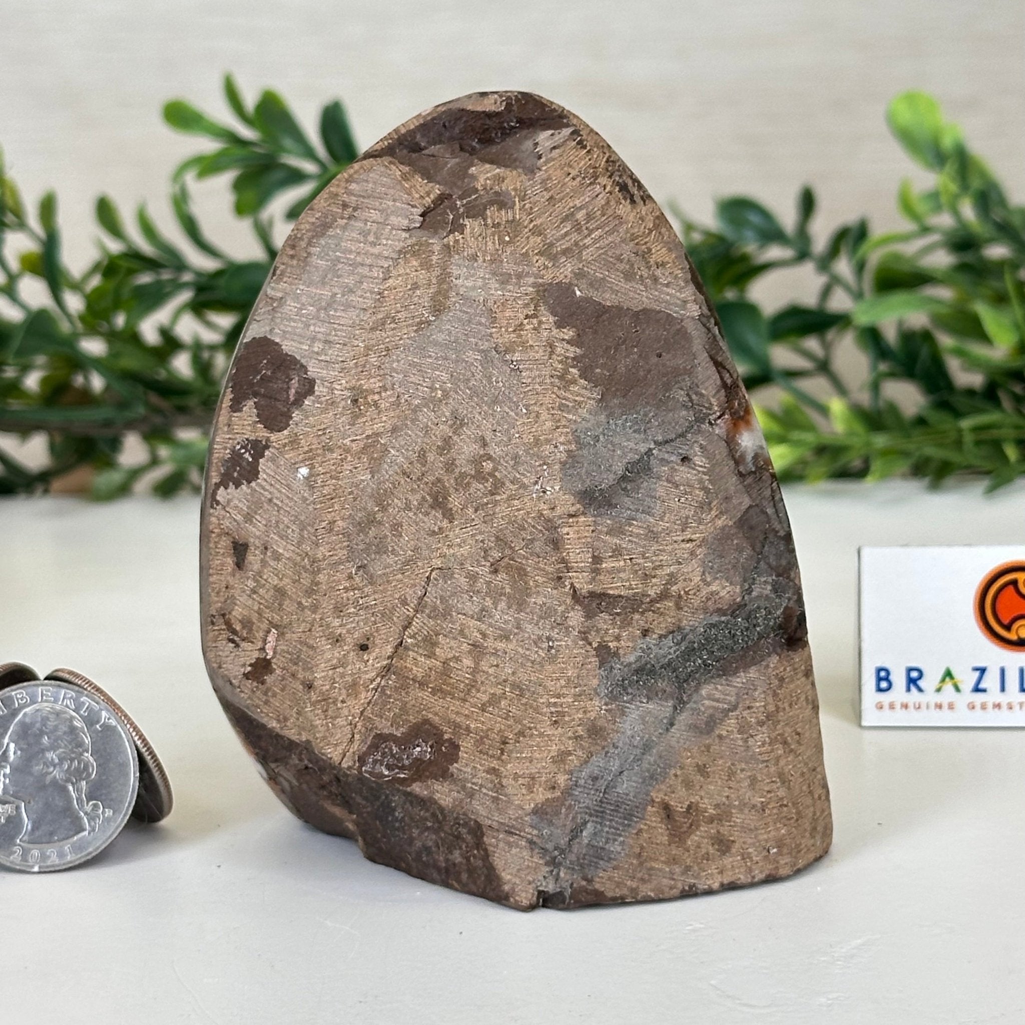 Extra Plus Quality Citrine Cluster w/ flat base, 3.8" Tall 5612 - 0198 - Brazil GemsBrazil GemsExtra Plus Quality Citrine Cluster w/ flat base, 3.8" Tall 5612 - 0198Small Clusters with Flat Bases5612 - 0198