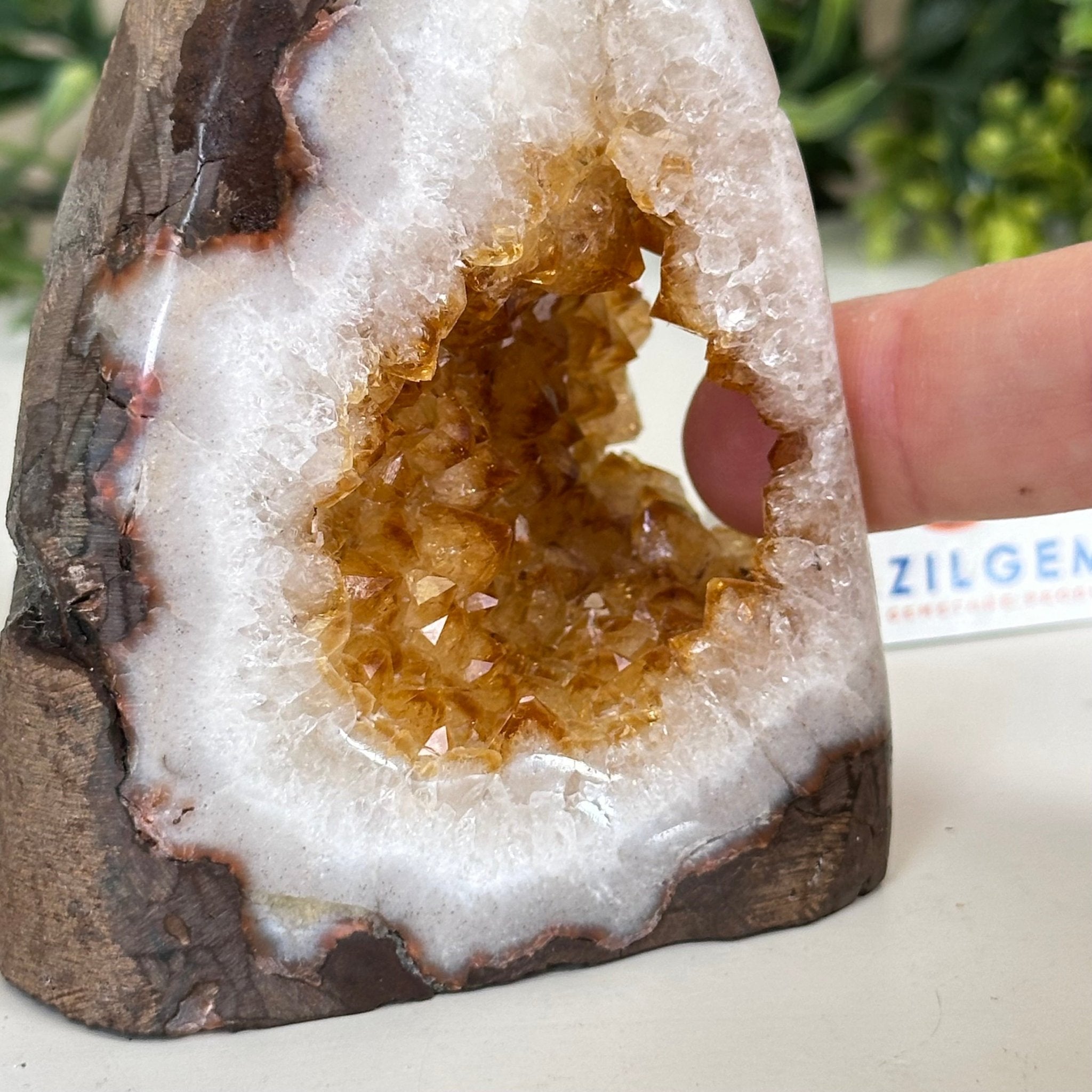 Extra Plus Quality Citrine Cluster w/ flat base, 3.8" Tall 5612 - 0198 - Brazil GemsBrazil GemsExtra Plus Quality Citrine Cluster w/ flat base, 3.8" Tall 5612 - 0198Small Clusters with Flat Bases5612 - 0198