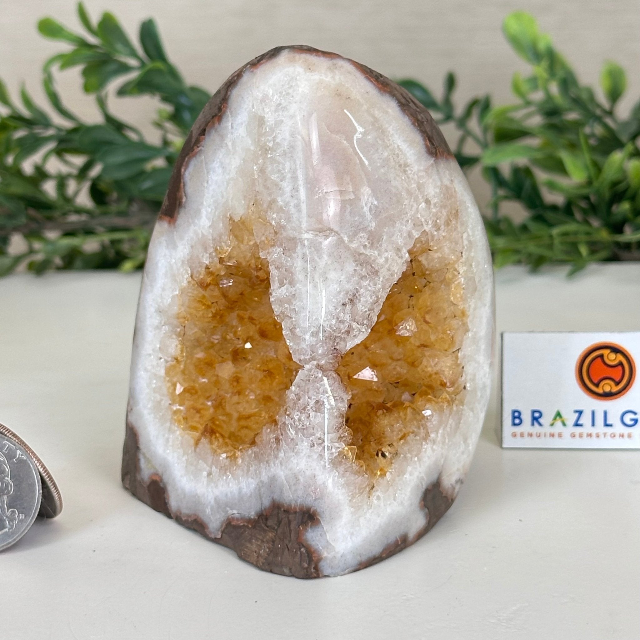 Extra Plus Quality Citrine Cluster w/ flat base, 3.8" Tall 5612 - 0198 - Brazil GemsBrazil GemsExtra Plus Quality Citrine Cluster w/ flat base, 3.8" Tall 5612 - 0198Small Clusters with Flat Bases5612 - 0198