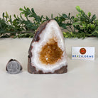 Extra Plus Quality Citrine Cluster w/ flat base, 3.8" Tall 5612 - 0198 - Brazil GemsBrazil GemsExtra Plus Quality Citrine Cluster w/ flat base, 3.8" Tall 5612 - 0198Small Clusters with Flat Bases5612 - 0198