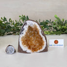 Extra Plus Quality Citrine Cluster w/ flat base, 3.9" Tall 5612 - 0206 - Brazil GemsBrazil GemsExtra Plus Quality Citrine Cluster w/ flat base, 3.9" Tall 5612 - 0206Small Clusters with Flat Bases5612 - 0206