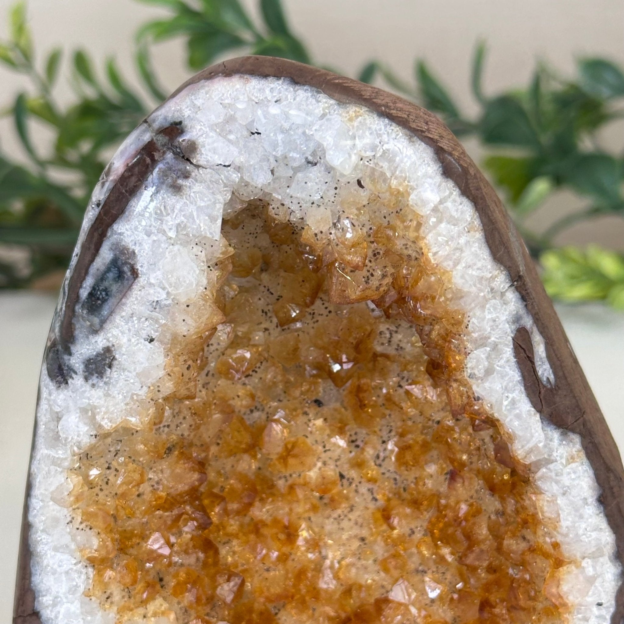 Extra Plus Quality Citrine Cluster w/ flat base, 3.9" Tall 5612 - 0206 - Brazil GemsBrazil GemsExtra Plus Quality Citrine Cluster w/ flat base, 3.9" Tall 5612 - 0206Small Clusters with Flat Bases5612 - 0206