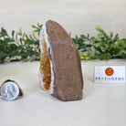 Extra Plus Quality Citrine Cluster w/ flat base, 3.9" Tall 5612 - 0206 - Brazil GemsBrazil GemsExtra Plus Quality Citrine Cluster w/ flat base, 3.9" Tall 5612 - 0206Small Clusters with Flat Bases5612 - 0206