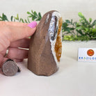 Extra Plus Quality Citrine Cluster w/ flat base, 3.9" Tall 5612 - 0206 - Brazil GemsBrazil GemsExtra Plus Quality Citrine Cluster w/ flat base, 3.9" Tall 5612 - 0206Small Clusters with Flat Bases5612 - 0206