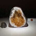 Extra Plus Quality Citrine Cluster w/ flat base, 3.9" Tall 5612 - 0206 - Brazil GemsBrazil GemsExtra Plus Quality Citrine Cluster w/ flat base, 3.9" Tall 5612 - 0206Small Clusters with Flat Bases5612 - 0206