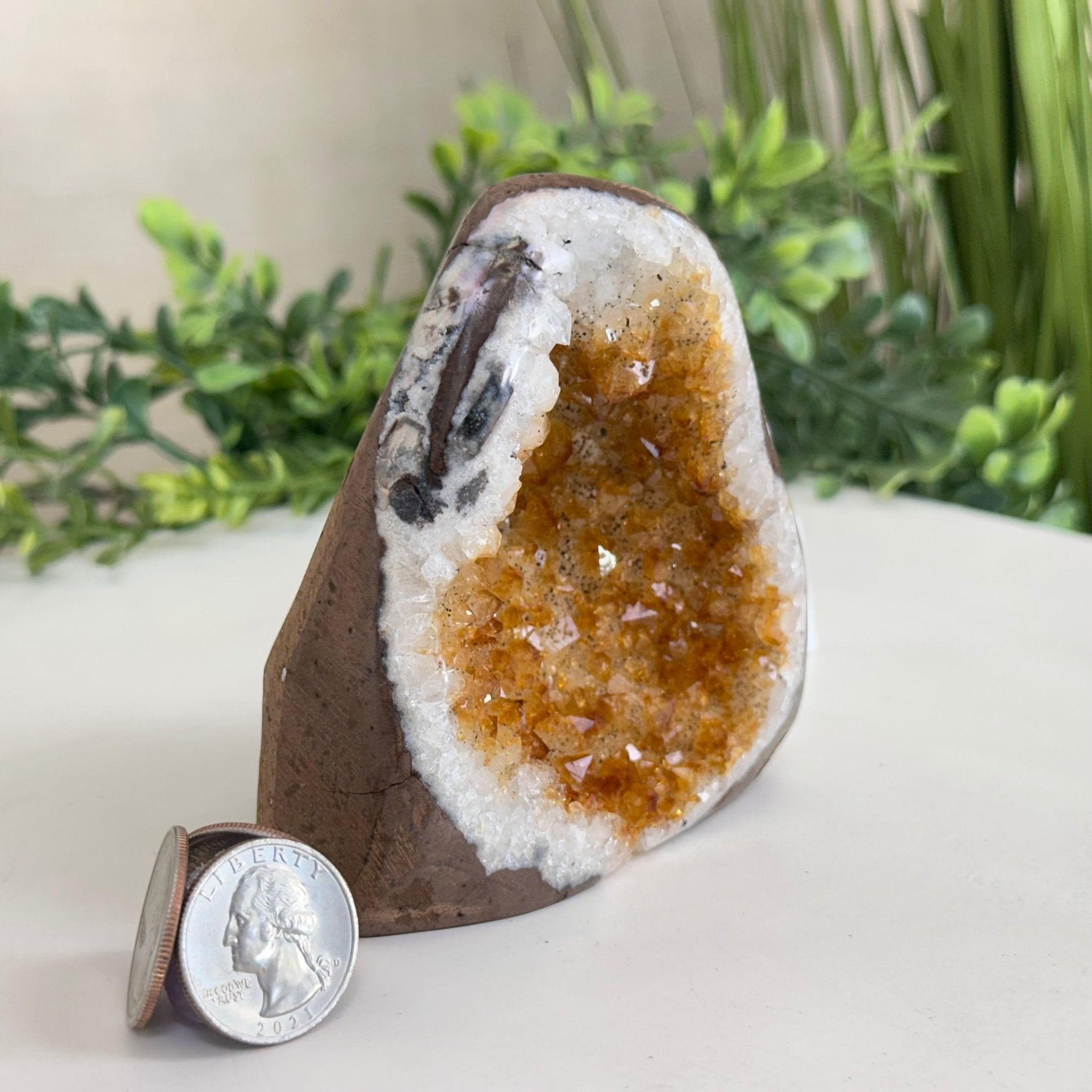 Extra Plus Quality Citrine Cluster w/ flat base, 3.9" Tall 5612 - 0206 - Brazil GemsBrazil GemsExtra Plus Quality Citrine Cluster w/ flat base, 3.9" Tall 5612 - 0206Small Clusters with Flat Bases5612 - 0206