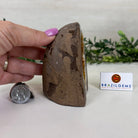 Extra Plus Quality Citrine Cluster w/ flat base, 3.9" Tall 5612 - 0207 - Brazil GemsBrazil GemsExtra Plus Quality Citrine Cluster w/ flat base, 3.9" Tall 5612 - 0207Small Clusters with Flat Bases5612 - 0207