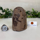 Extra Plus Quality Citrine Cluster w/ flat base, 3.9" Tall 5612 - 0207 - Brazil GemsBrazil GemsExtra Plus Quality Citrine Cluster w/ flat base, 3.9" Tall 5612 - 0207Small Clusters with Flat Bases5612 - 0207