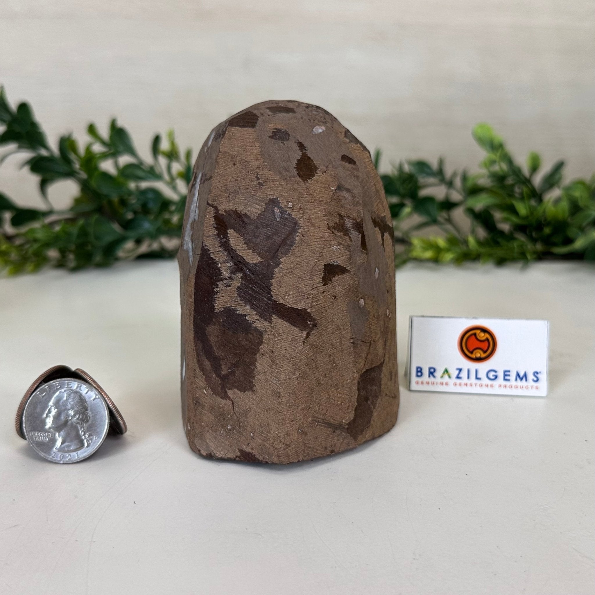 Extra Plus Quality Citrine Cluster w/ flat base, 3.9" Tall 5612 - 0207 - Brazil GemsBrazil GemsExtra Plus Quality Citrine Cluster w/ flat base, 3.9" Tall 5612 - 0207Small Clusters with Flat Bases5612 - 0207