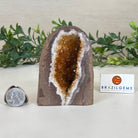 Extra Plus Quality Citrine Cluster w/ flat base, 3.9" Tall 5612 - 0207 - Brazil GemsBrazil GemsExtra Plus Quality Citrine Cluster w/ flat base, 3.9" Tall 5612 - 0207Small Clusters with Flat Bases5612 - 0207