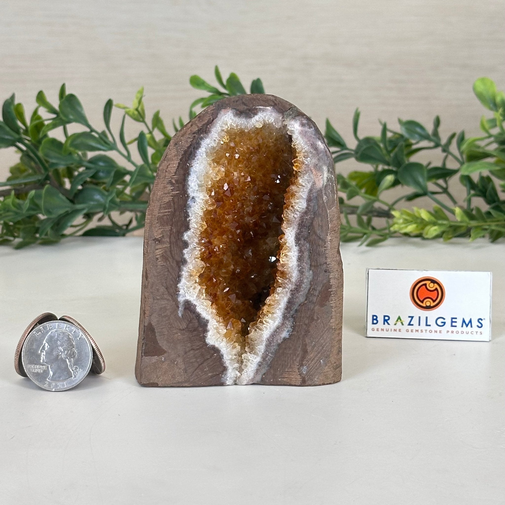 Extra Plus Quality Citrine Cluster w/ flat base, 3.9" Tall 5612 - 0207 - Brazil GemsBrazil GemsExtra Plus Quality Citrine Cluster w/ flat base, 3.9" Tall 5612 - 0207Small Clusters with Flat Bases5612 - 0207