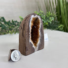 Extra Plus Quality Citrine Cluster w/ flat base, 3.9" Tall 5612 - 0207 - Brazil GemsBrazil GemsExtra Plus Quality Citrine Cluster w/ flat base, 3.9" Tall 5612 - 0207Small Clusters with Flat Bases5612 - 0207