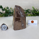 Extra Plus Quality Citrine Cluster w/ flat base, 3.9" Tall 5612 - 0207 - Brazil GemsBrazil GemsExtra Plus Quality Citrine Cluster w/ flat base, 3.9" Tall 5612 - 0207Small Clusters with Flat Bases5612 - 0207