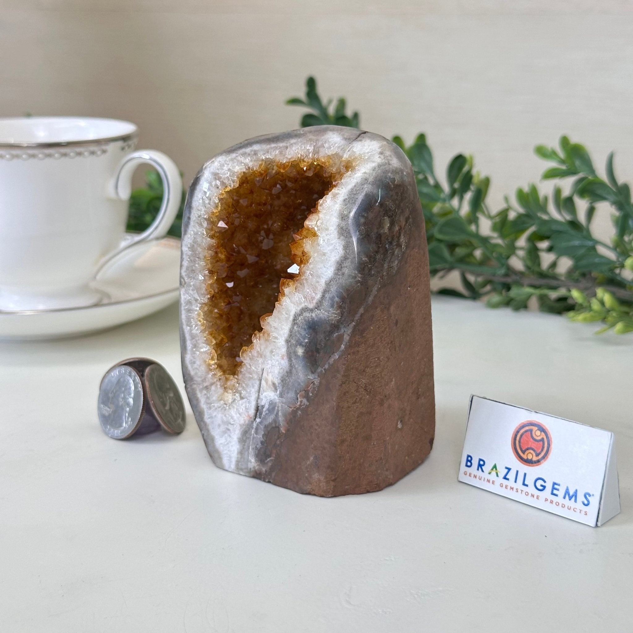 Extra Plus Quality Citrine Cluster w/ flat base, 4" Tall 5612 - 0219 - Brazil GemsBrazil GemsExtra Plus Quality Citrine Cluster w/ flat base, 4" Tall 5612 - 0219Small Clusters with Flat Bases5612 - 0219