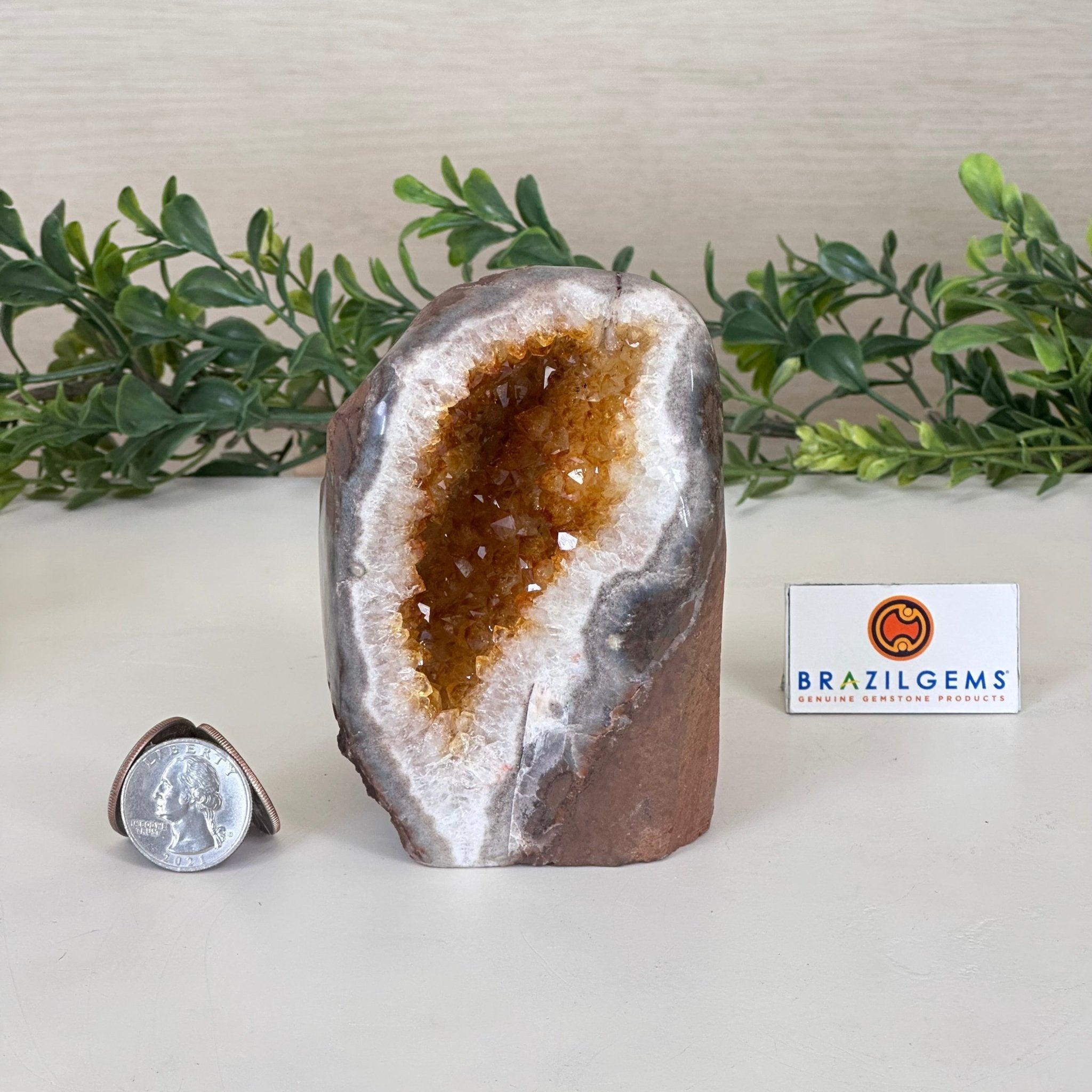 Extra Plus Quality Citrine Cluster w/ flat base, 4" Tall 5612 - 0219 - Brazil GemsBrazil GemsExtra Plus Quality Citrine Cluster w/ flat base, 4" Tall 5612 - 0219Small Clusters with Flat Bases5612 - 0219