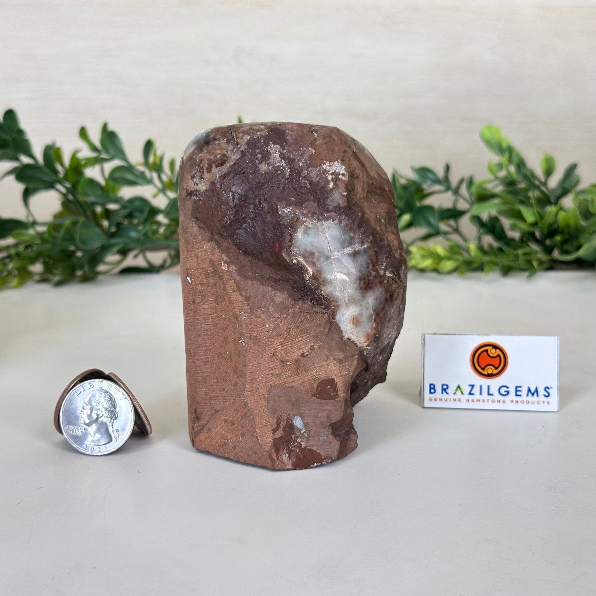 Extra Plus Quality Citrine Cluster w/ flat base, 4" Tall 5612 - 0219 - Brazil GemsBrazil GemsExtra Plus Quality Citrine Cluster w/ flat base, 4" Tall 5612 - 0219Small Clusters with Flat Bases5612 - 0219