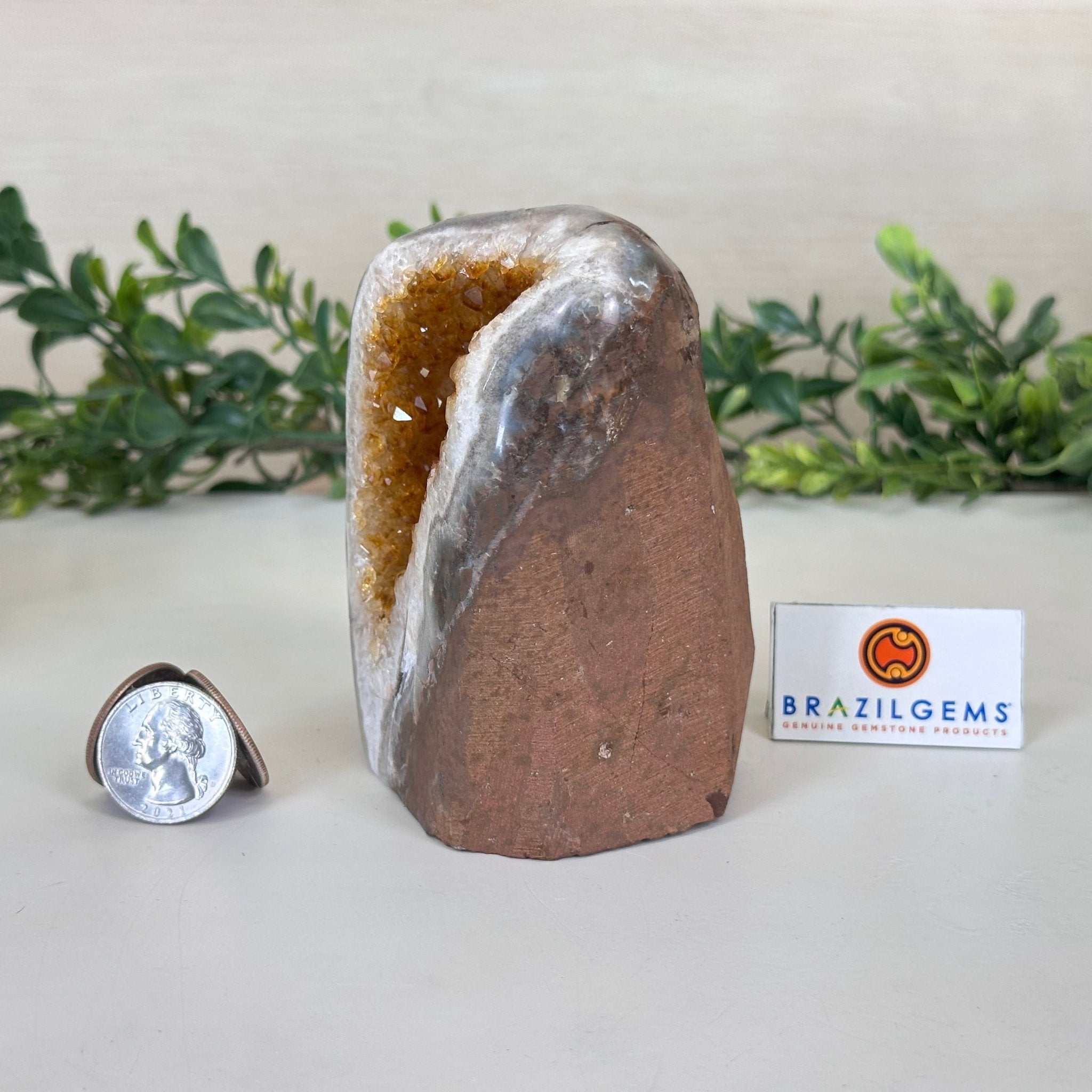 Extra Plus Quality Citrine Cluster w/ flat base, 4" Tall 5612 - 0219 - Brazil GemsBrazil GemsExtra Plus Quality Citrine Cluster w/ flat base, 4" Tall 5612 - 0219Small Clusters with Flat Bases5612 - 0219