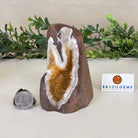 Extra Plus Quality Citrine Cluster w/ flat base, 4.1" Tall 5612 - 0199 - Brazil GemsBrazil GemsExtra Plus Quality Citrine Cluster w/ flat base, 4.1" Tall 5612 - 0199Small Clusters with Flat Bases5612 - 0199