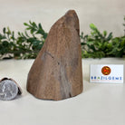 Extra Plus Quality Citrine Cluster w/ flat base, 4.1" Tall 5612 - 0199 - Brazil GemsBrazil GemsExtra Plus Quality Citrine Cluster w/ flat base, 4.1" Tall 5612 - 0199Small Clusters with Flat Bases5612 - 0199