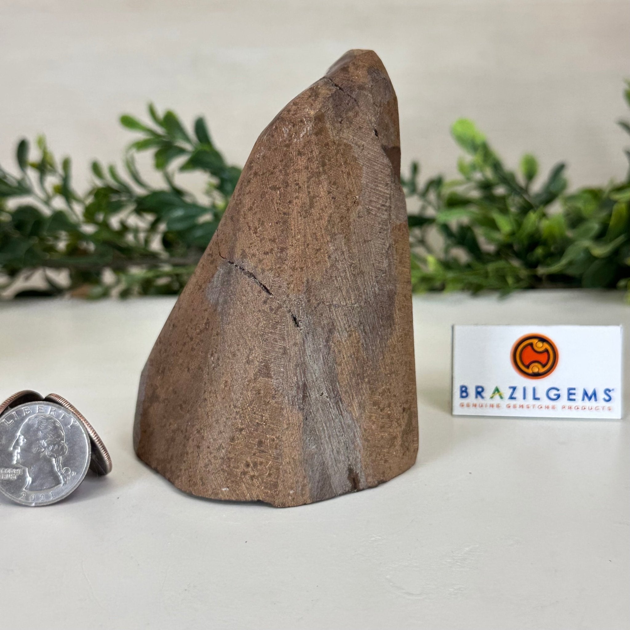 Extra Plus Quality Citrine Cluster w/ flat base, 4.1" Tall 5612 - 0199 - Brazil GemsBrazil GemsExtra Plus Quality Citrine Cluster w/ flat base, 4.1" Tall 5612 - 0199Small Clusters with Flat Bases5612 - 0199