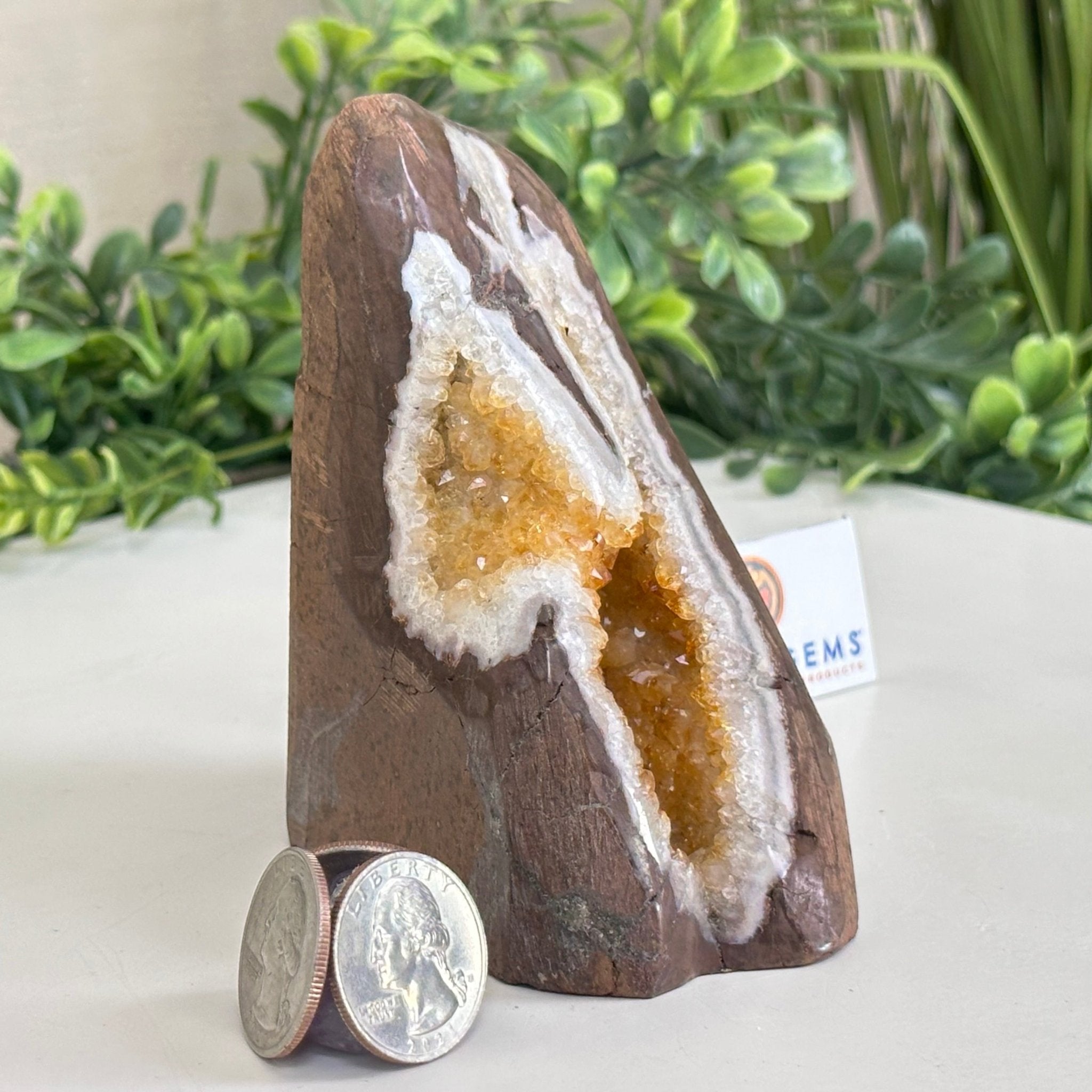 Extra Plus Quality Citrine Cluster w/ flat base, 4.1" Tall 5612 - 0199 - Brazil GemsBrazil GemsExtra Plus Quality Citrine Cluster w/ flat base, 4.1" Tall 5612 - 0199Small Clusters with Flat Bases5612 - 0199